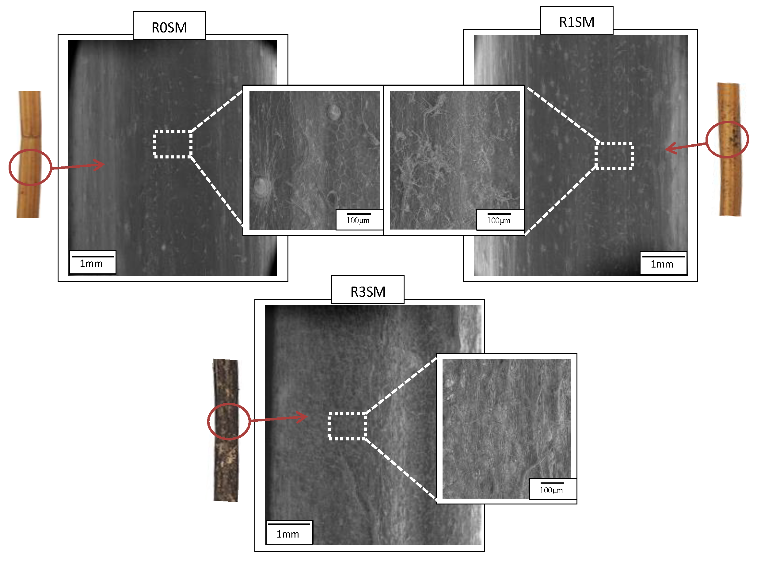 Fibers 07 00108 g005 Fibers 07 00108 g005