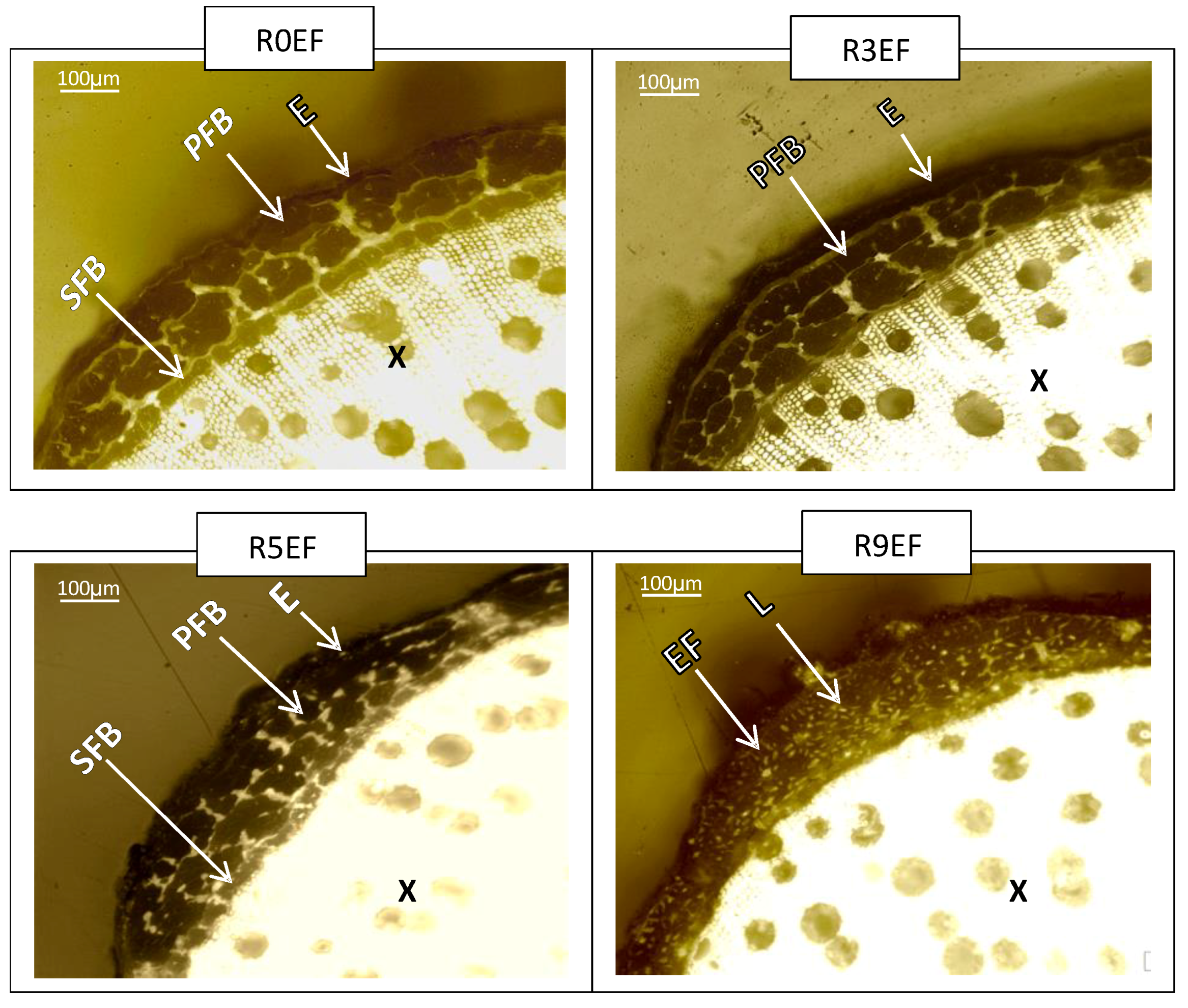 Fibers 07 00108 g010 Fibers 07 00108 g010
