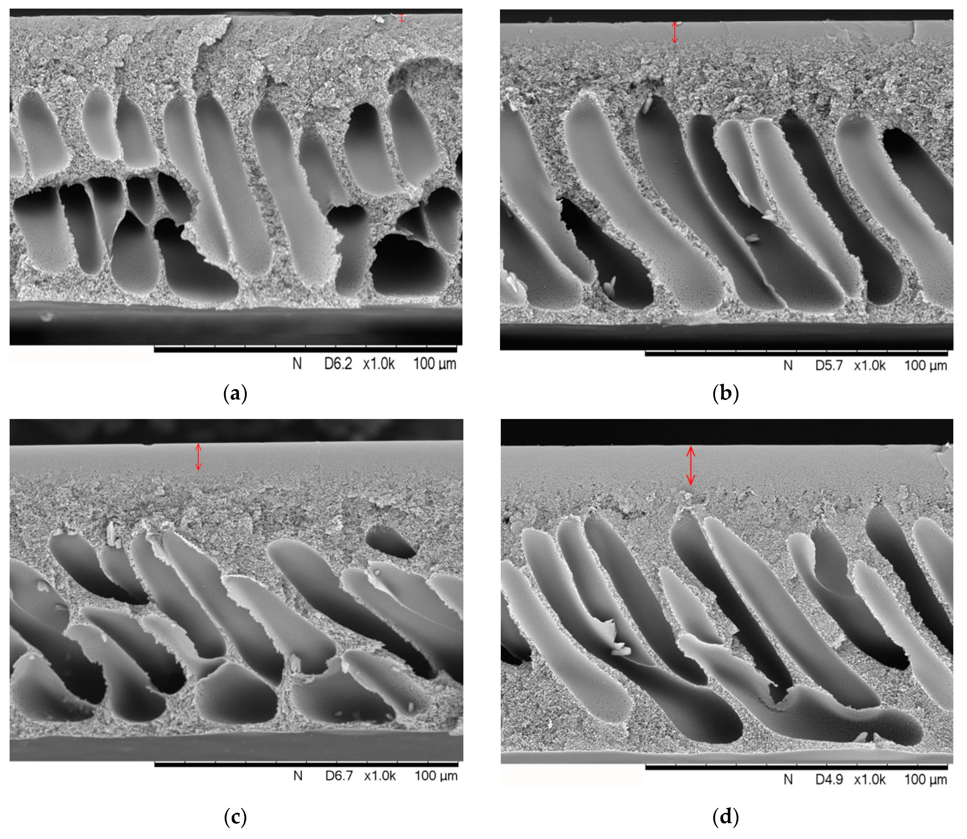 Fibers 07 00110 g006 Fibers 07 00110 g006