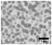 Fibers 08 00002 i009 Fibers 08 00002 i009