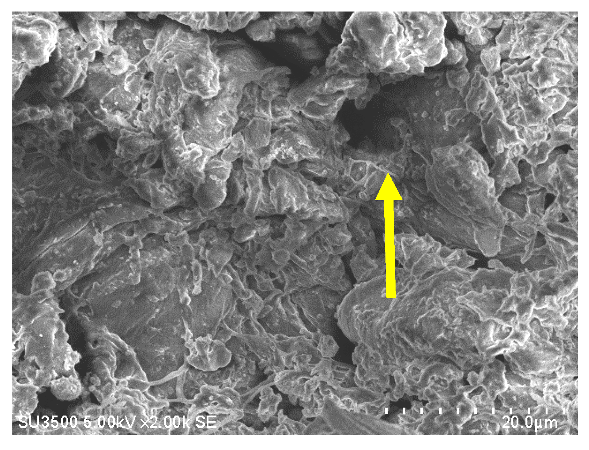 Fibers 08 00004 g004