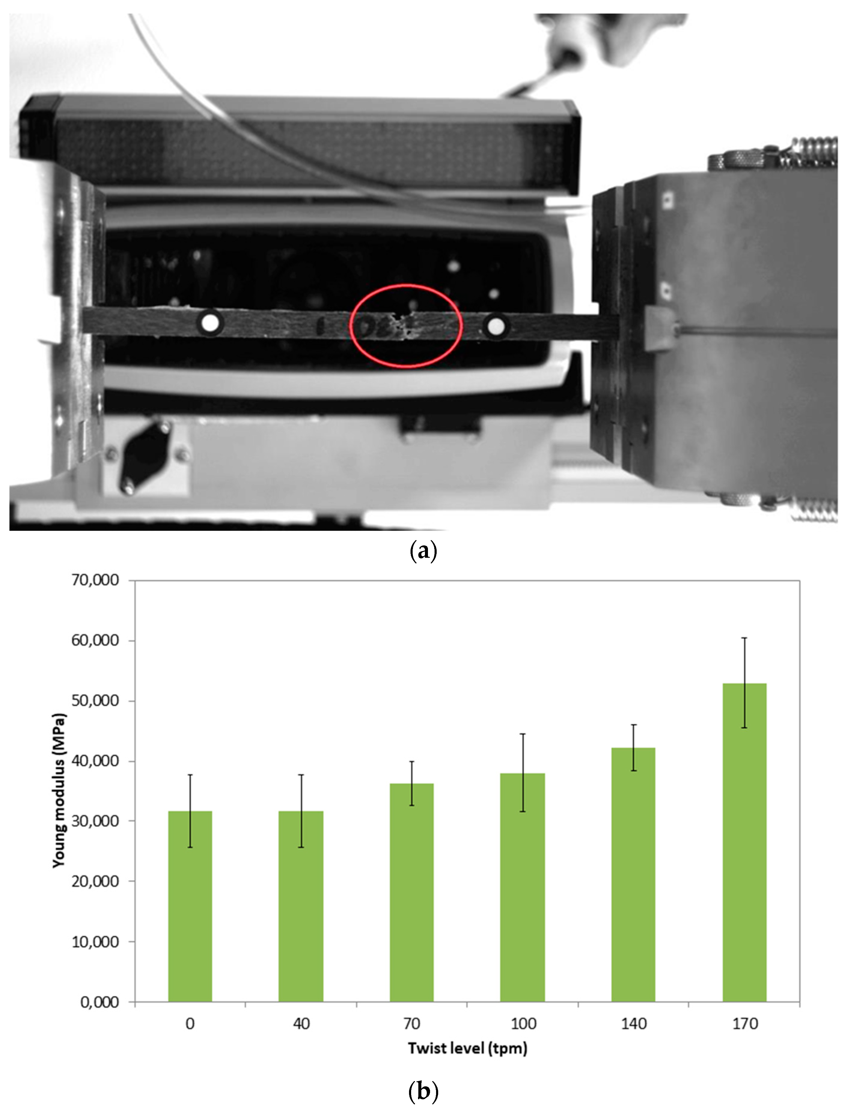Fibers 08 00015 g003 Fibers 08 00015 g003