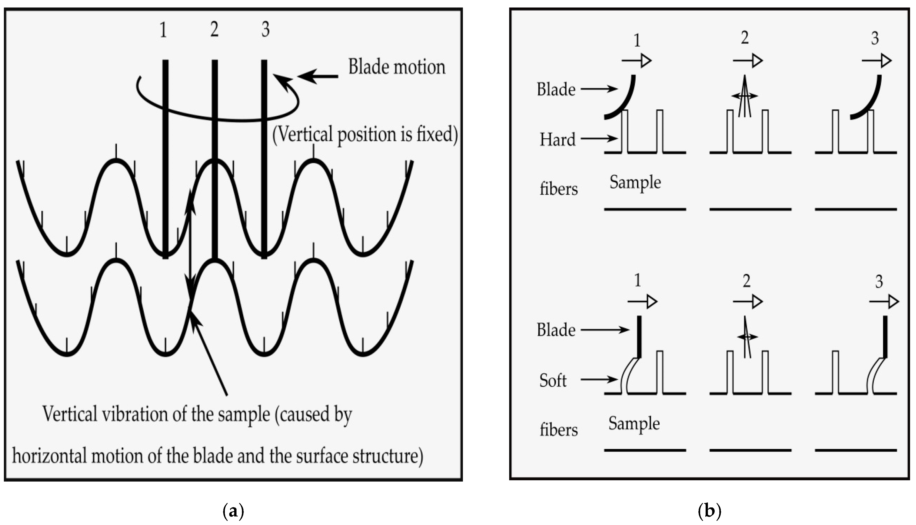 Fibers 08 00017 g003a Fibers 08 00017 g003a