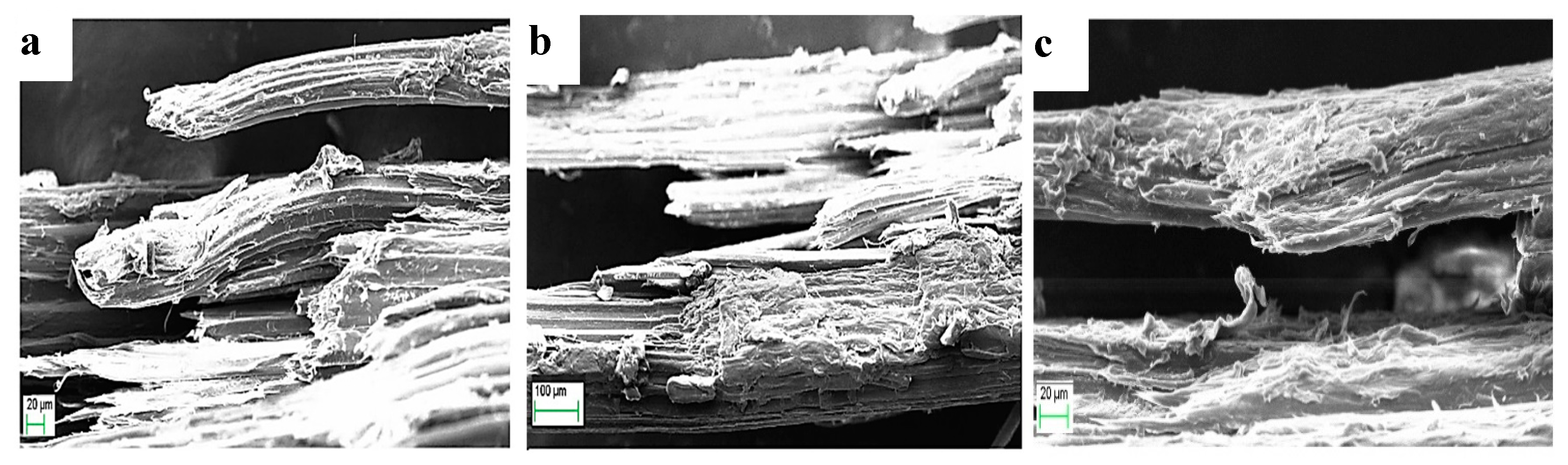 Fibers 08 00026 g002