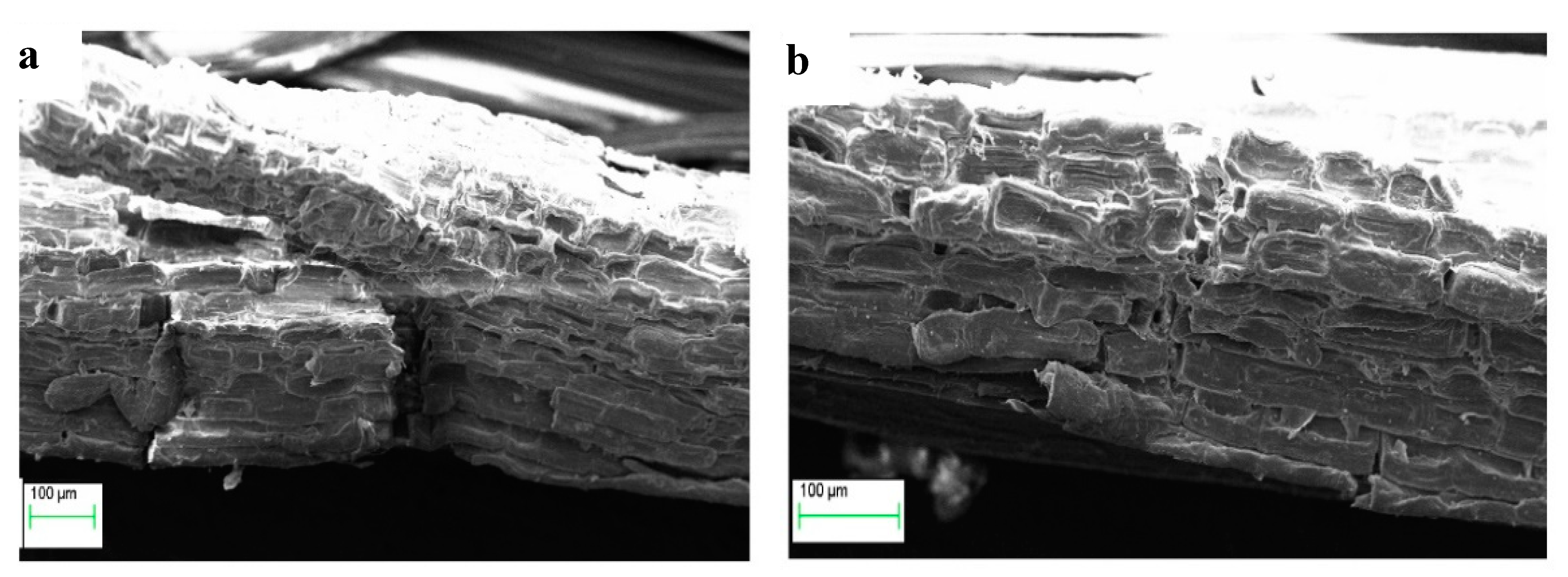 Fibers 08 00026 g006