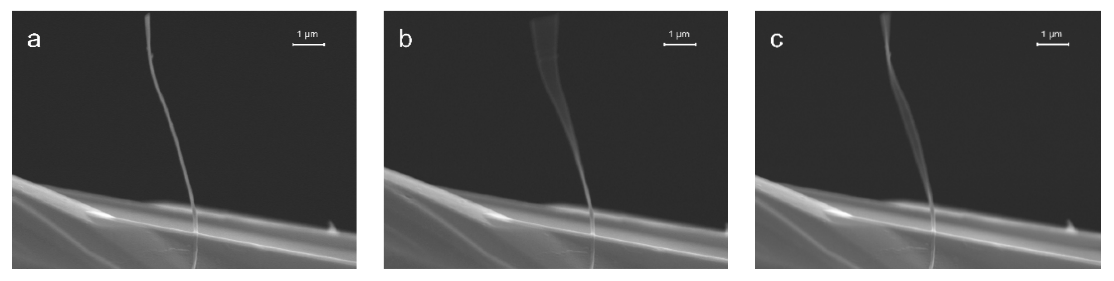 Fibers 08 00031 g013