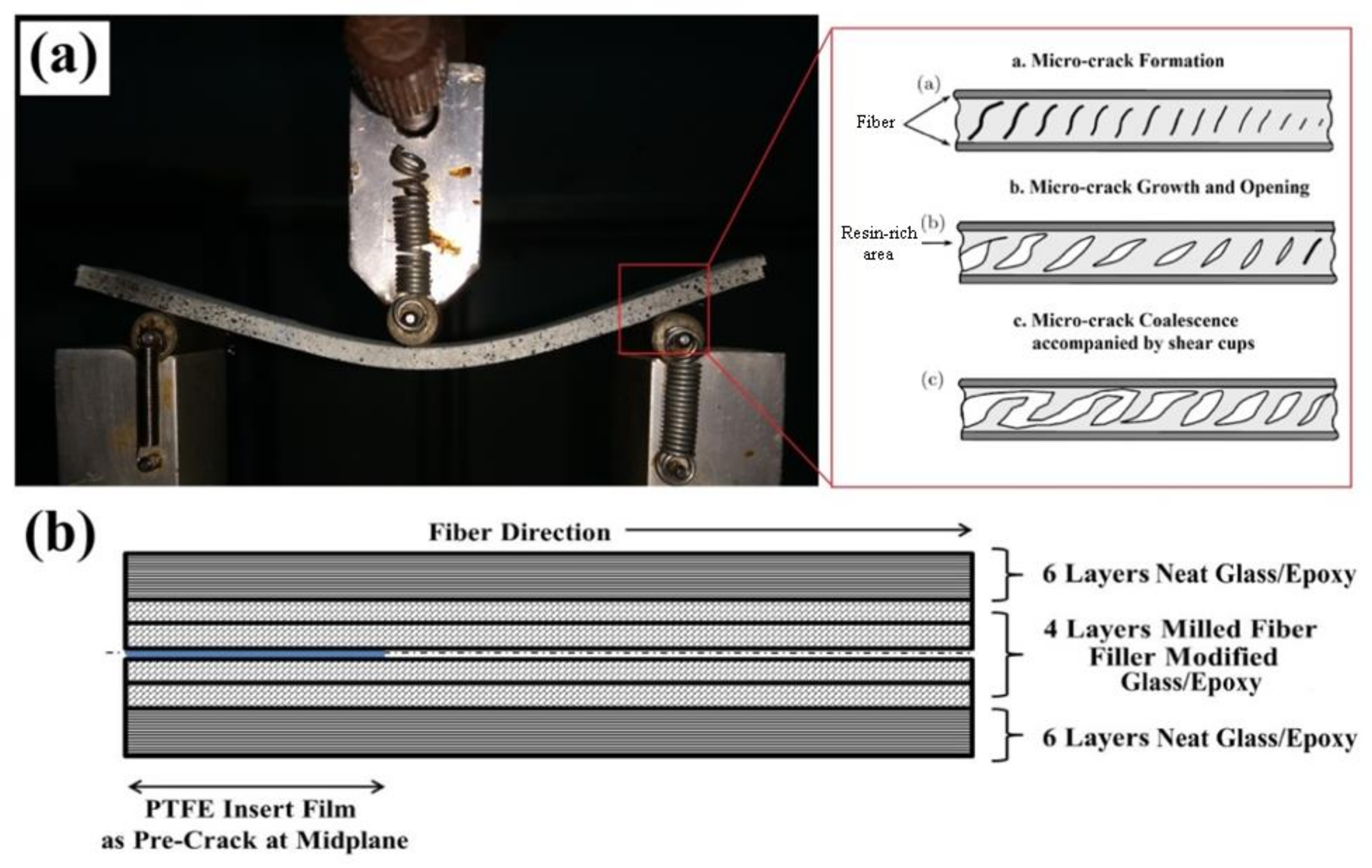 Fibers 08 00036 g001 Fibers 08 00036 g001