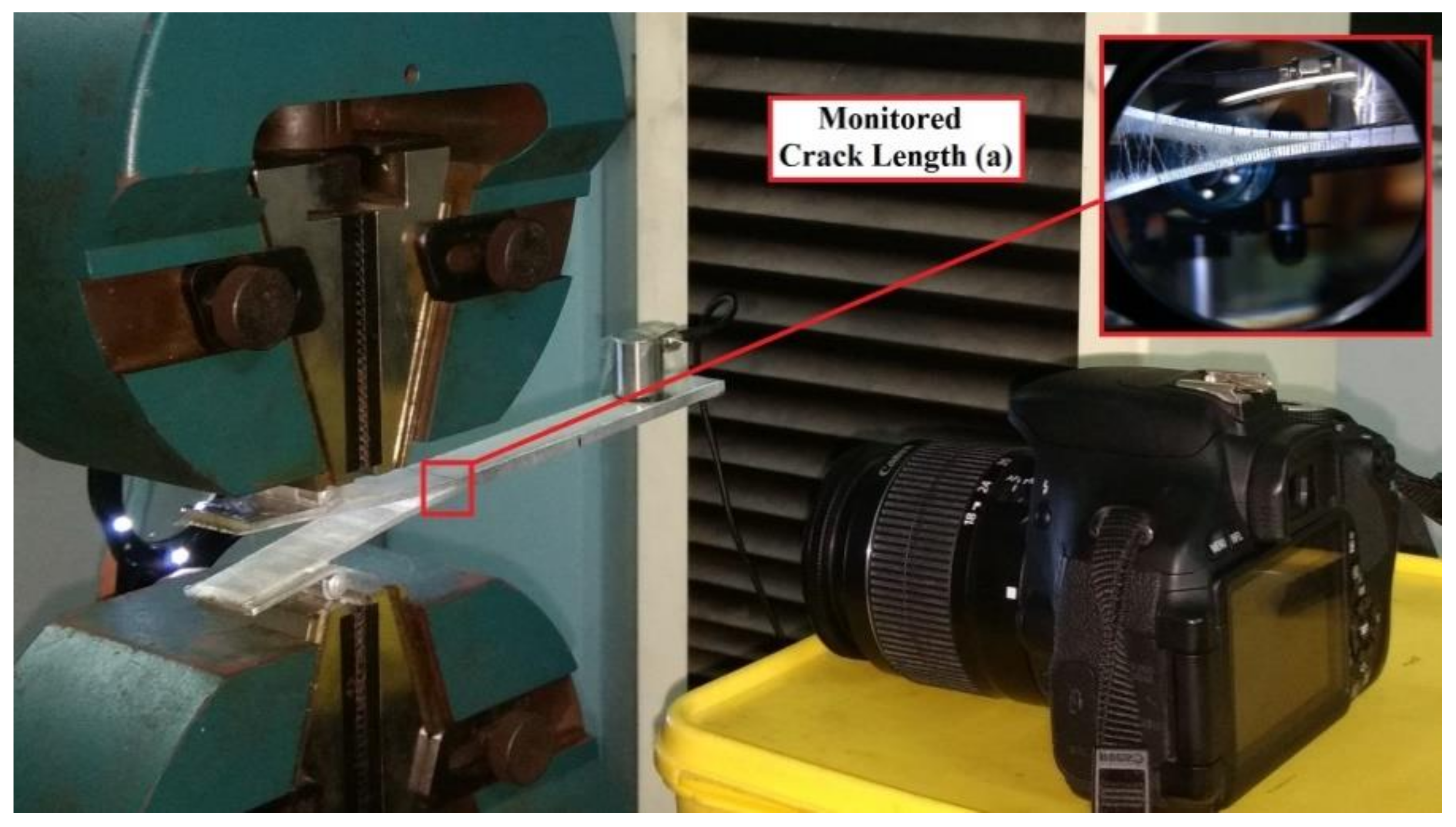 Fibers 08 00036 g002 Fibers 08 00036 g002