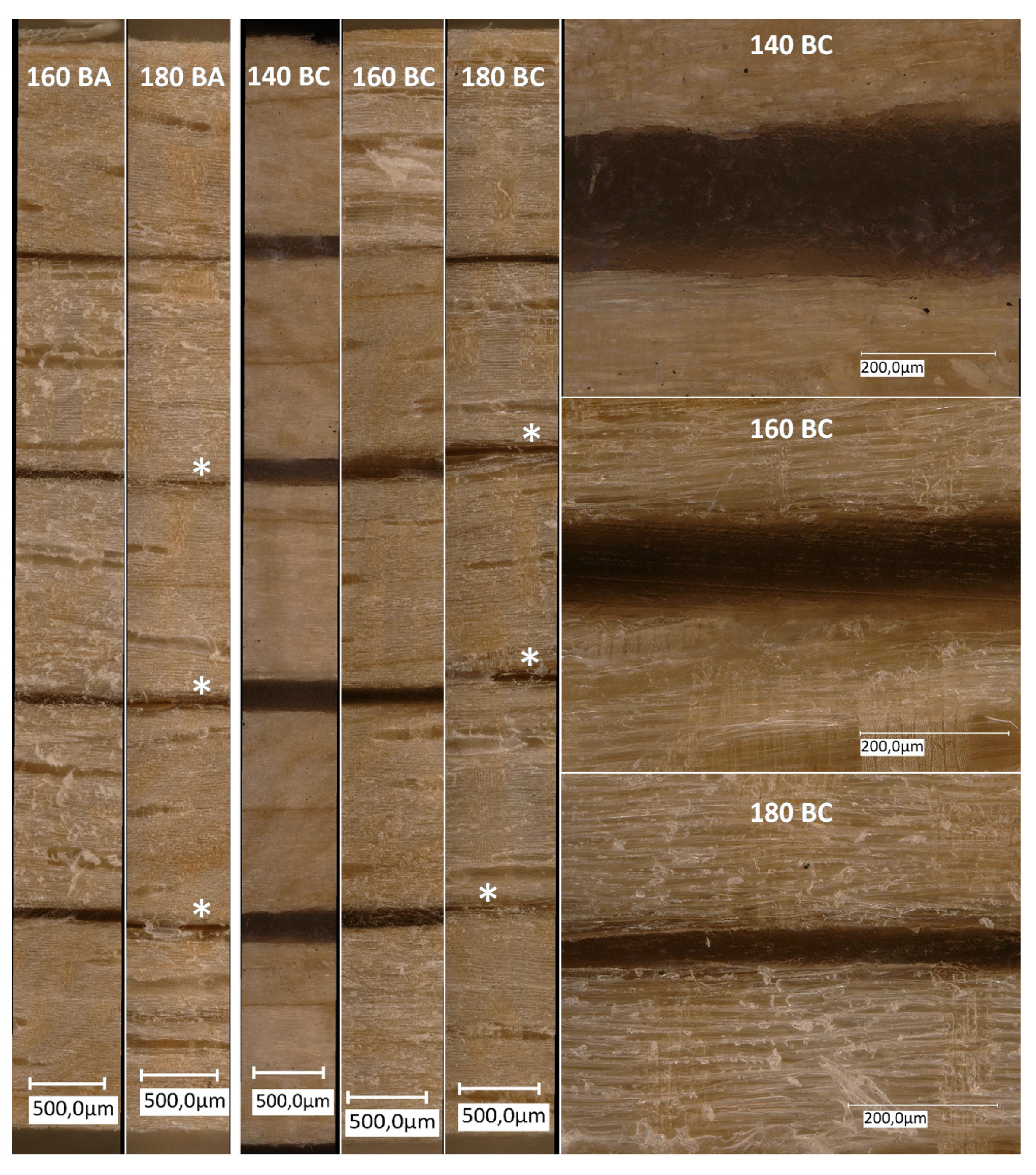 Fibers 08 00050 g002 Fibers 08 00050 g002
