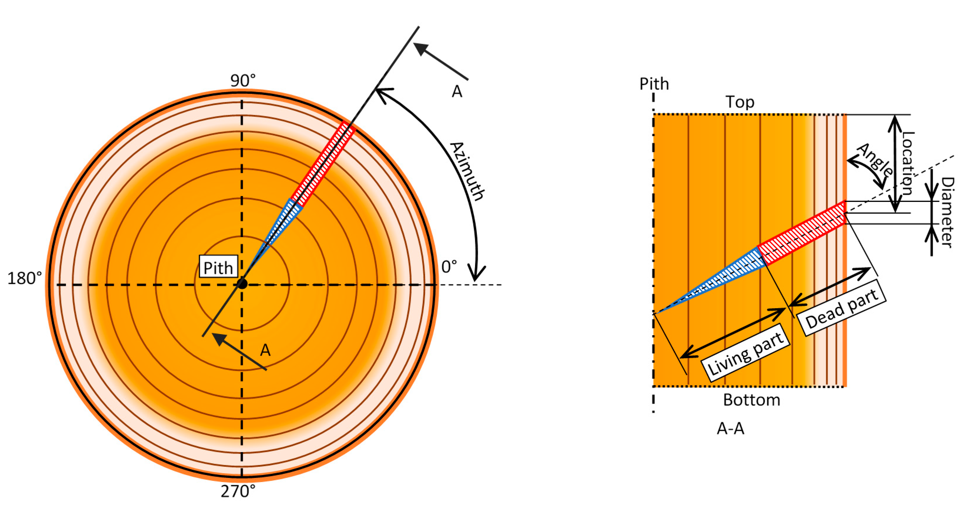 Fibers 08 00054 g004