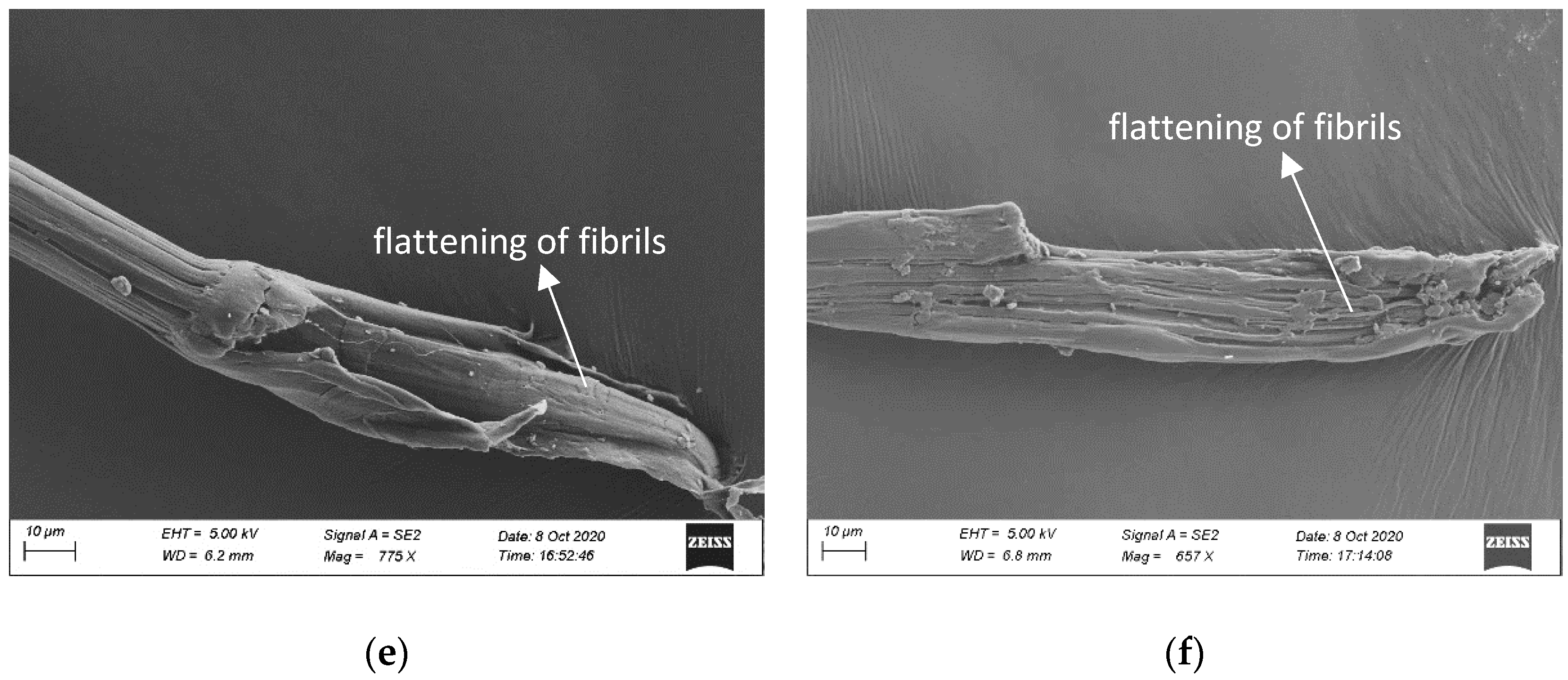 Fibers 08 00066 g005b