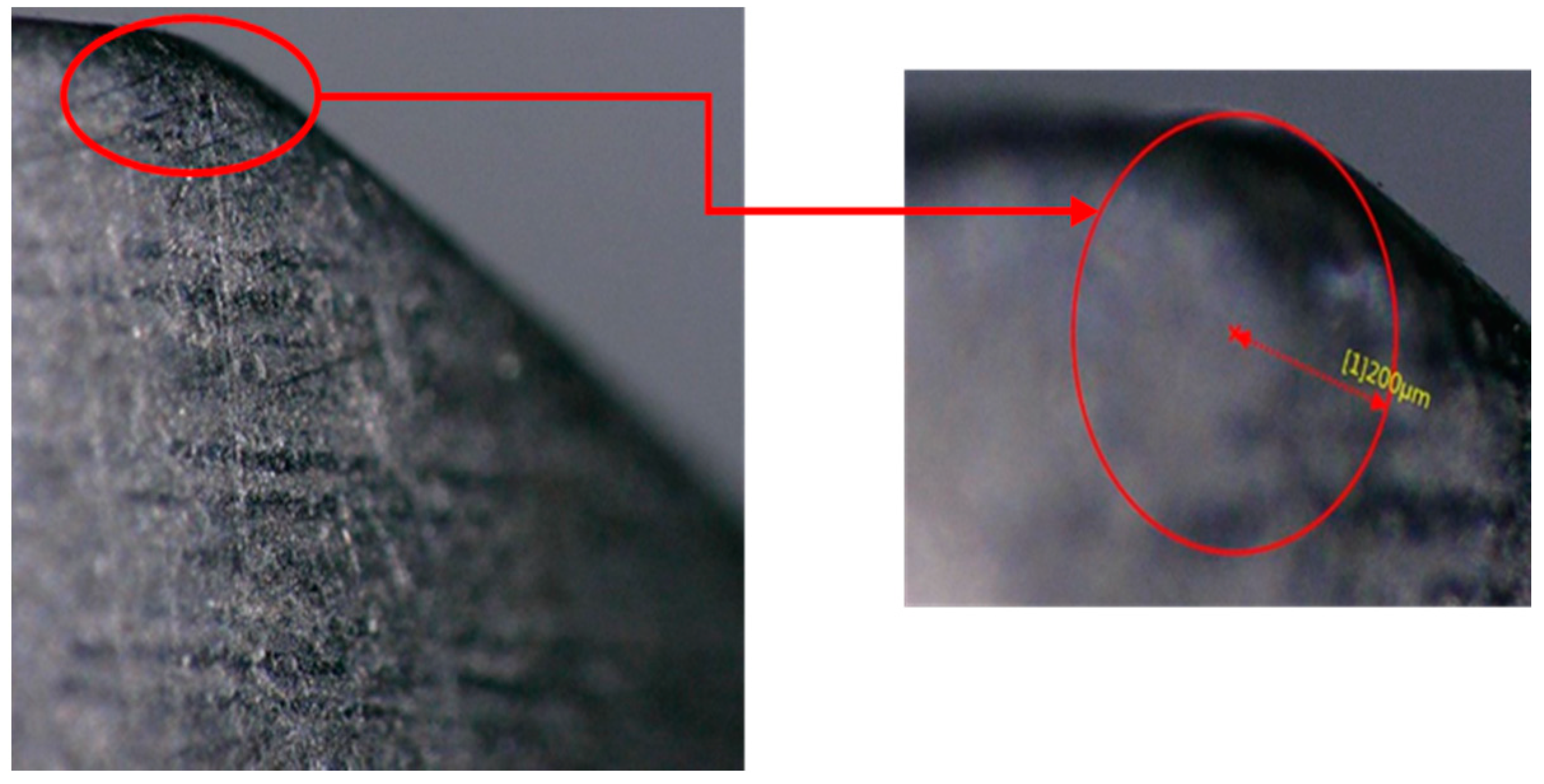 Fibers 08 00066 g013