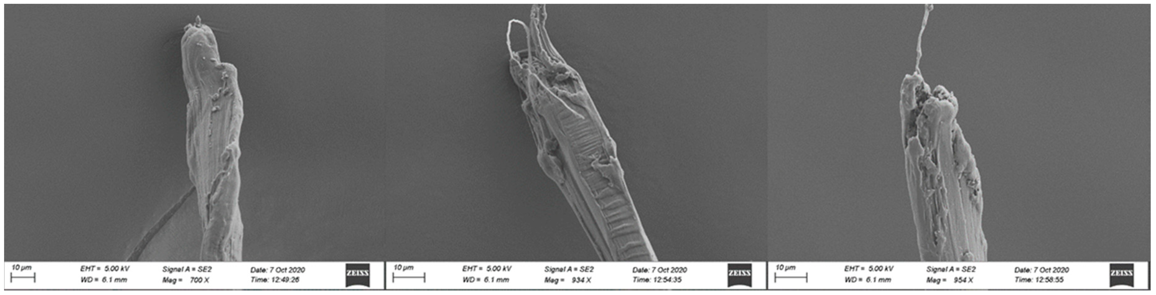 Fibers 08 00066 g014