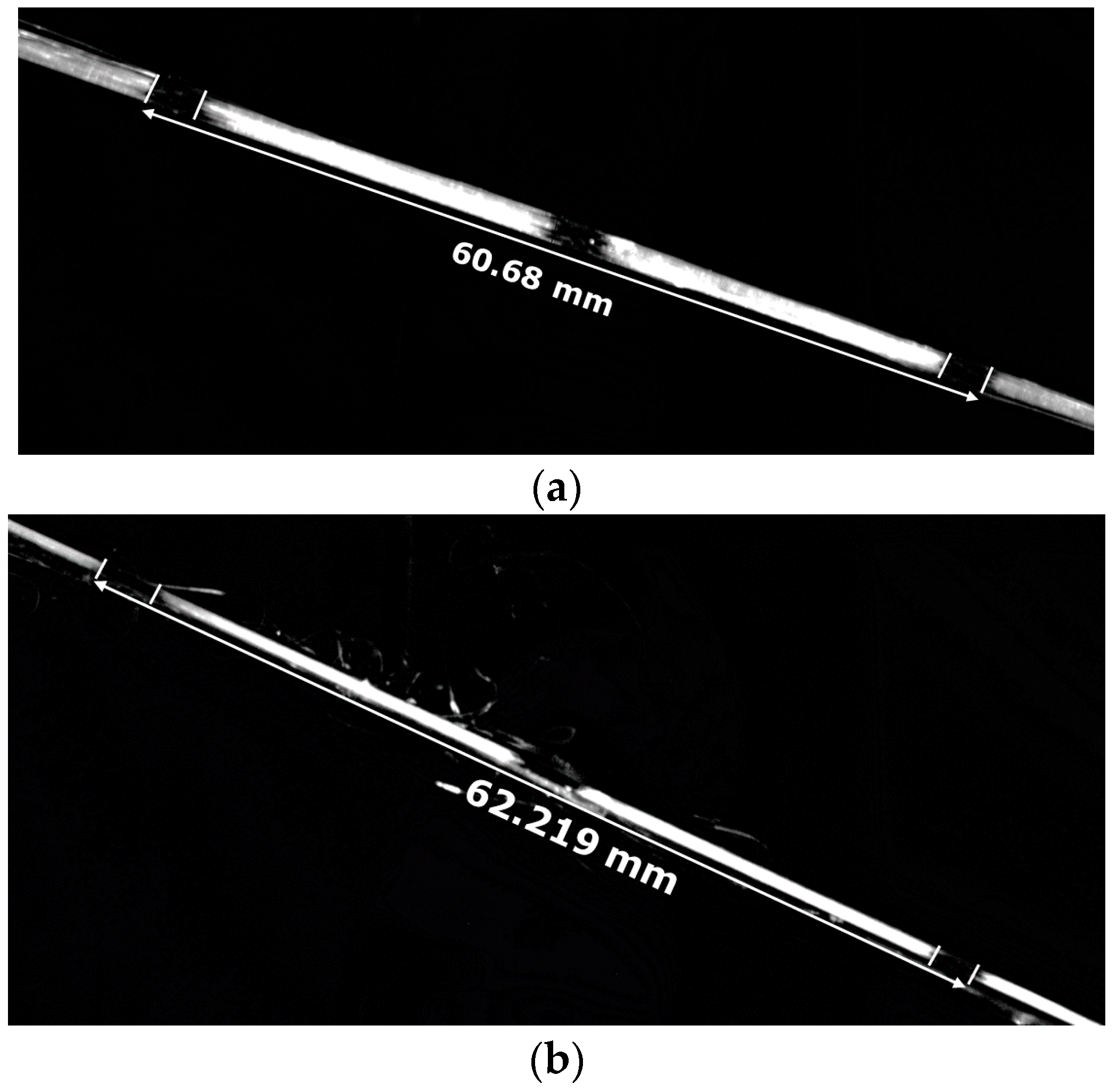 Fibers 08 00066 g015