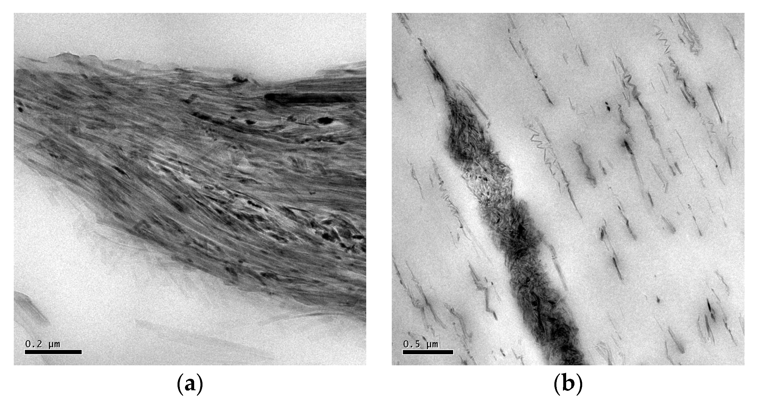 Fibers 08 00070 g005 Fibers 08 00070 g005