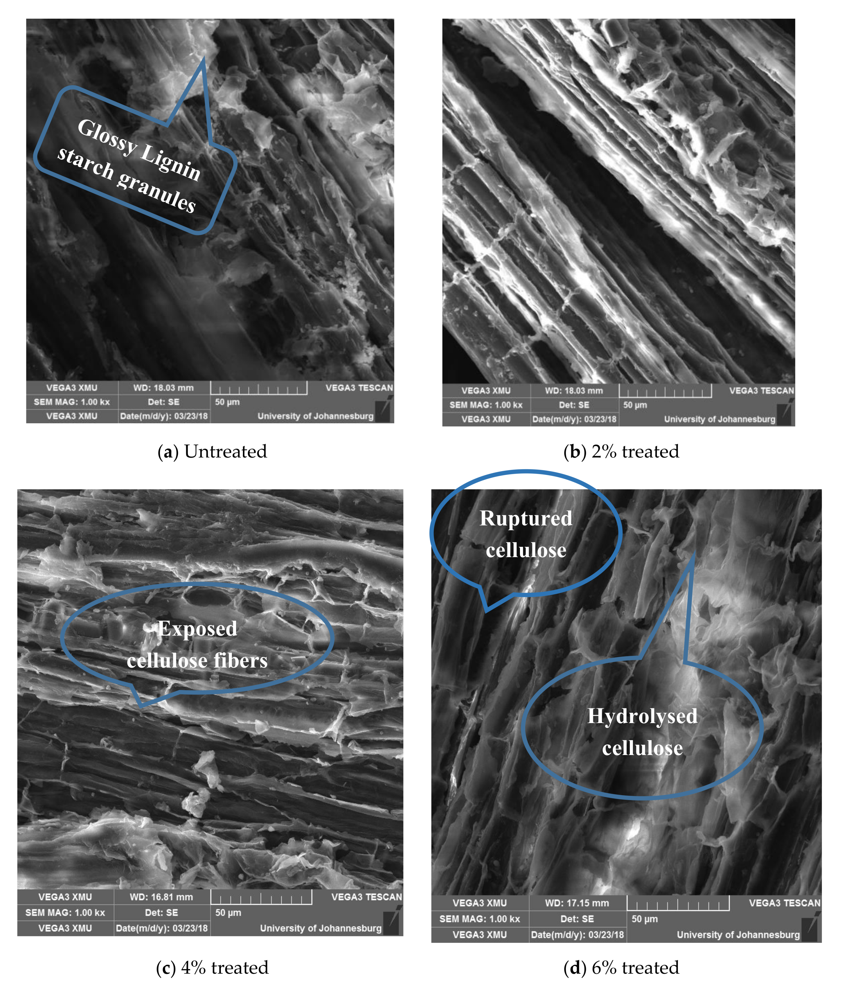 Fibers 08 00073 g010 Fibers 08 00073 g010
