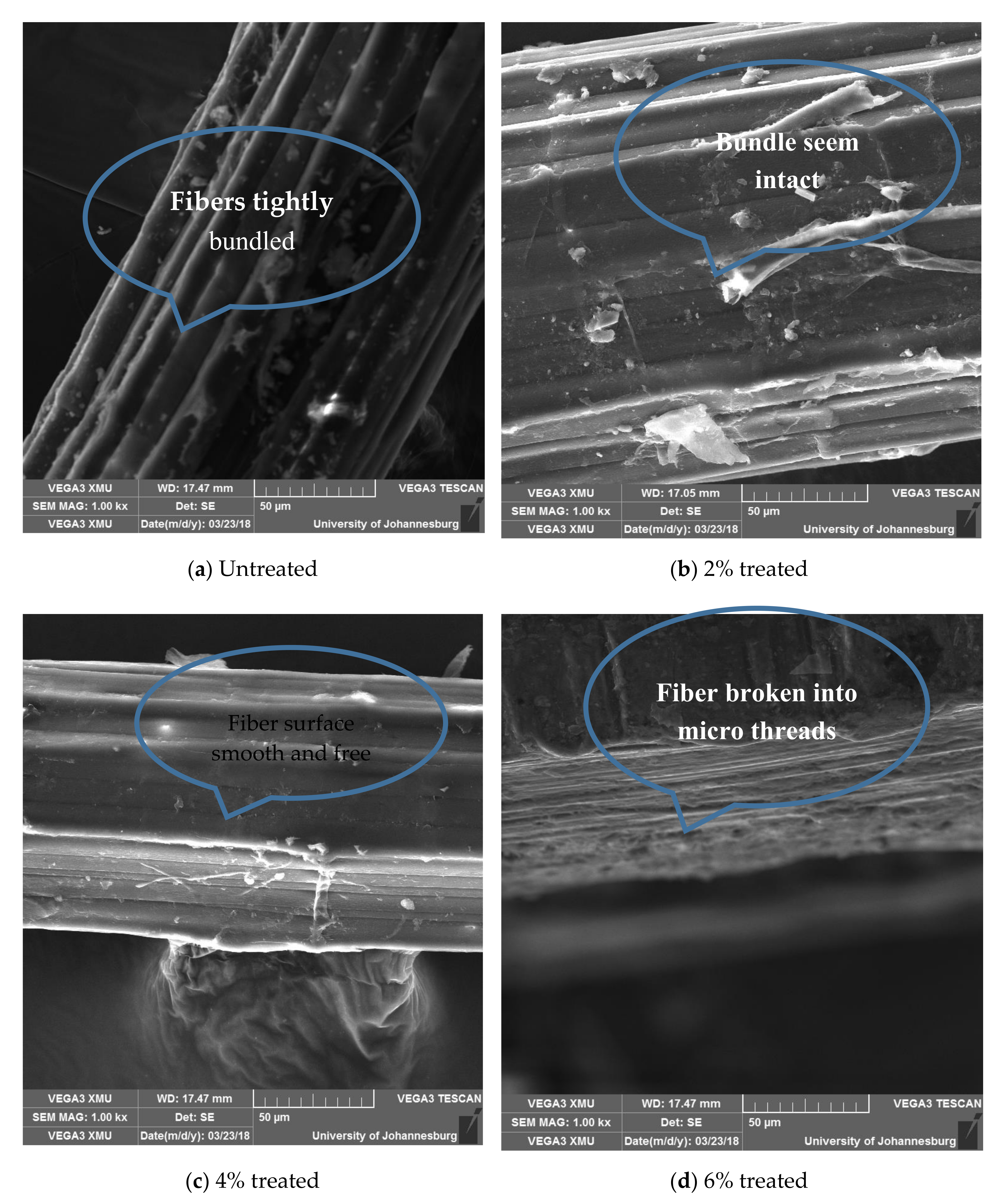Fibers 08 00073 g012 Fibers 08 00073 g012
