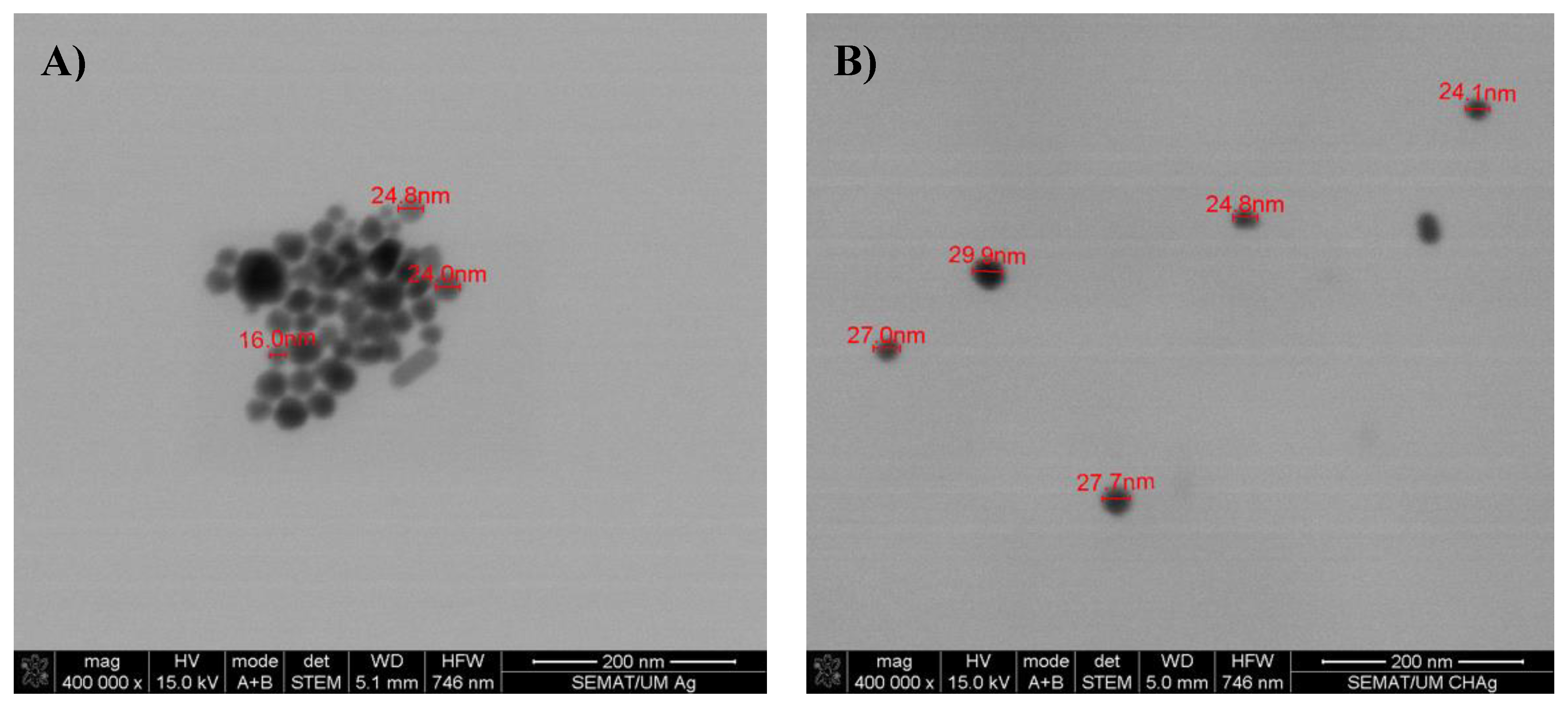 Fibers 09 00003 g002a Fibers 09 00003 g002a