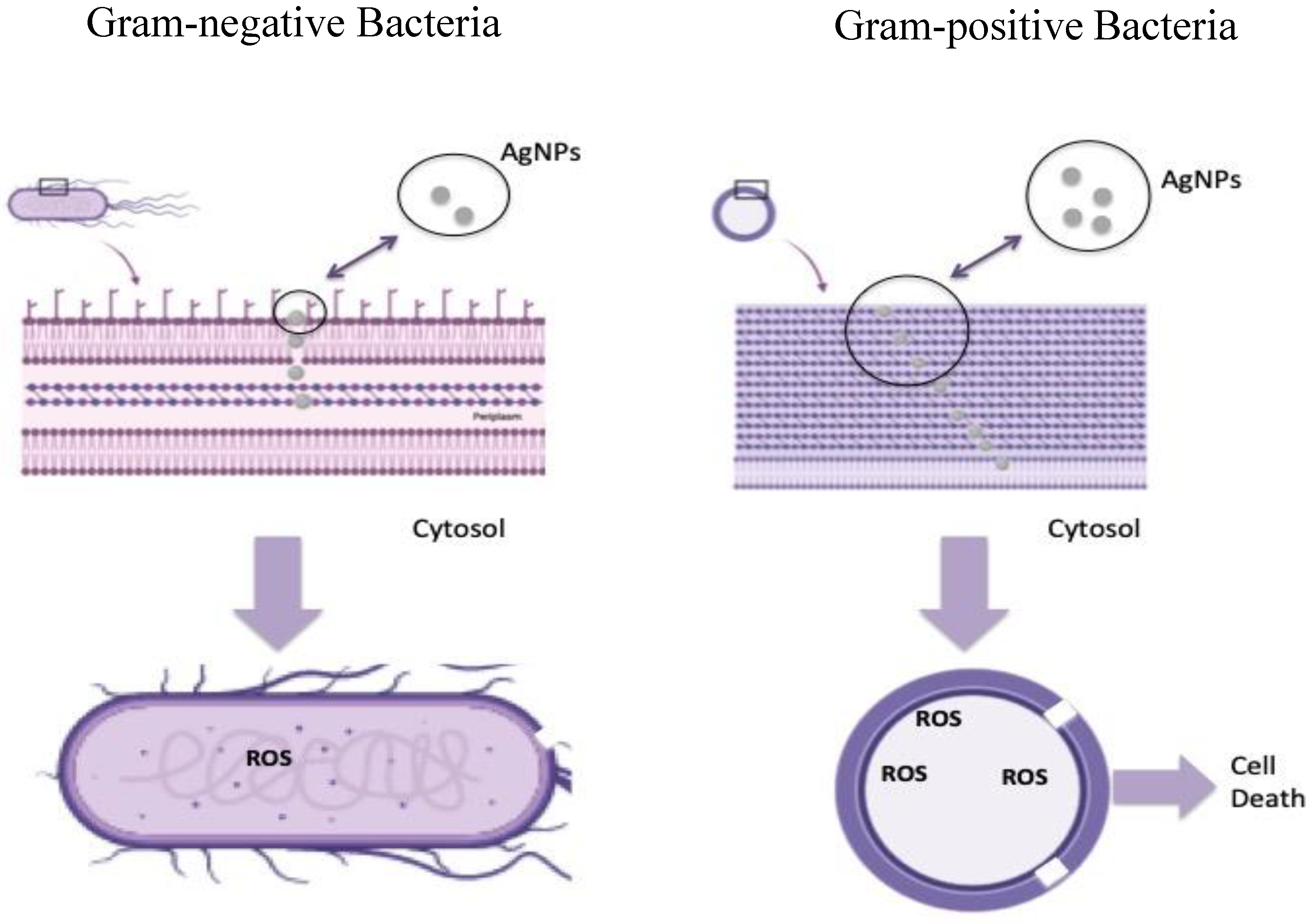 Fibers 09 00003 g007 Fibers 09 00003 g007
