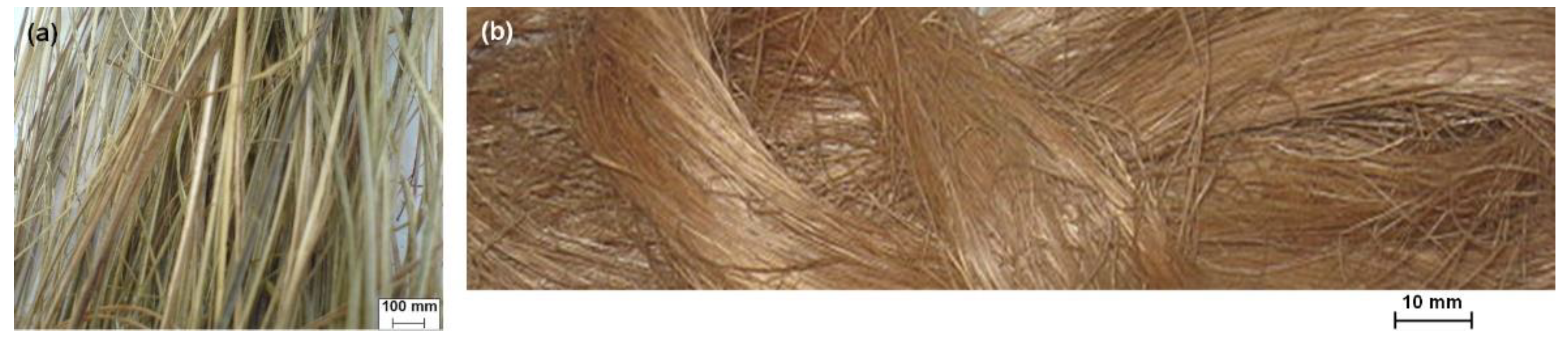 Fibers 09 00011 g001 Fibers 09 00011 g001