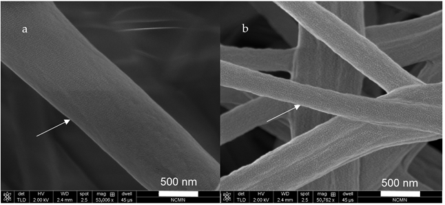 Fibers 09 00012 g002