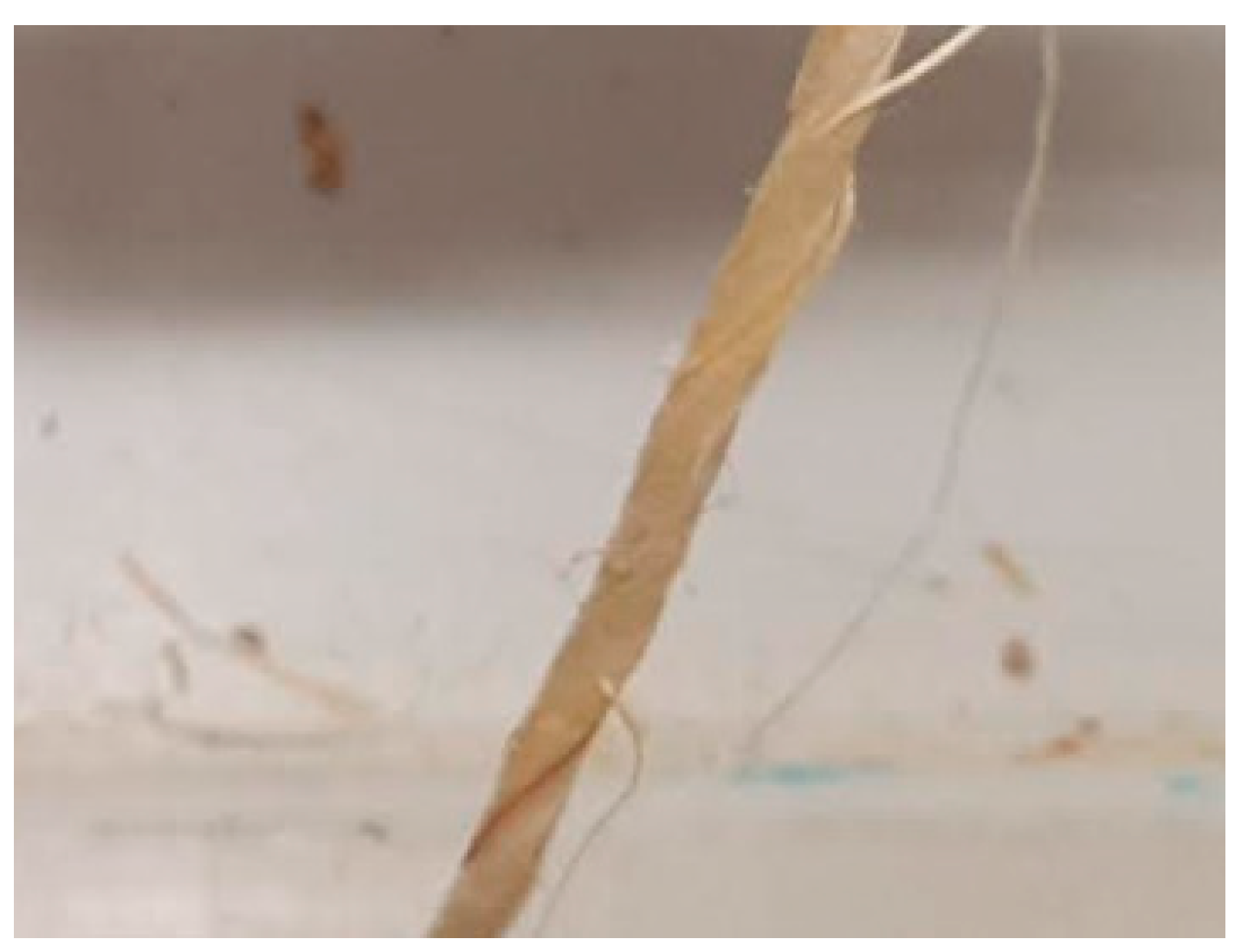 Fibers 09 00013 g001 Fibers 09 00013 g001