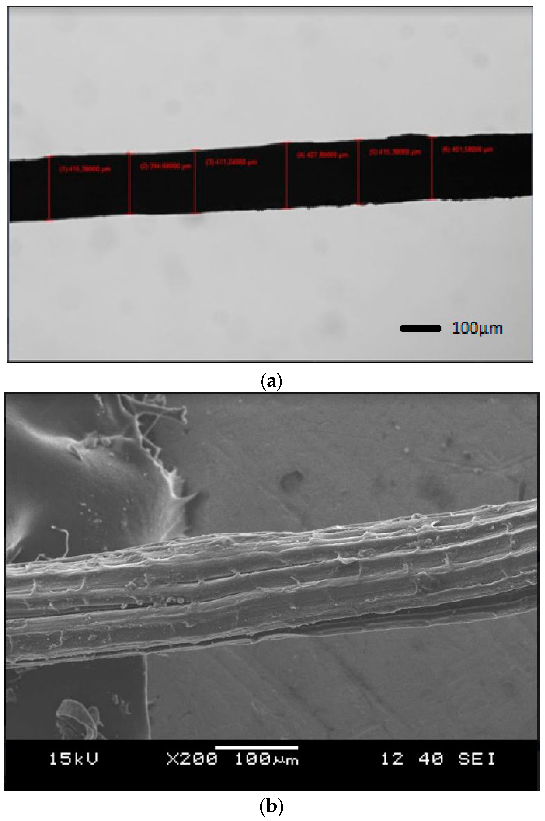 Fibers 09 00013 g005 Fibers 09 00013 g005