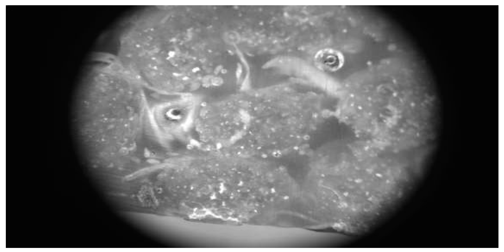 Fibers 09 00013 g006 Fibers 09 00013 g006