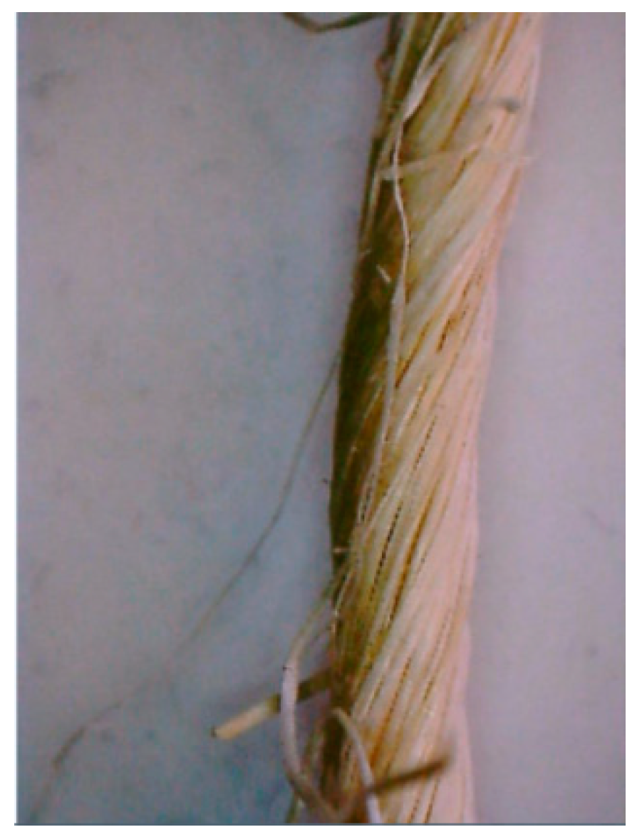 Fibers 09 00013 g008 Fibers 09 00013 g008