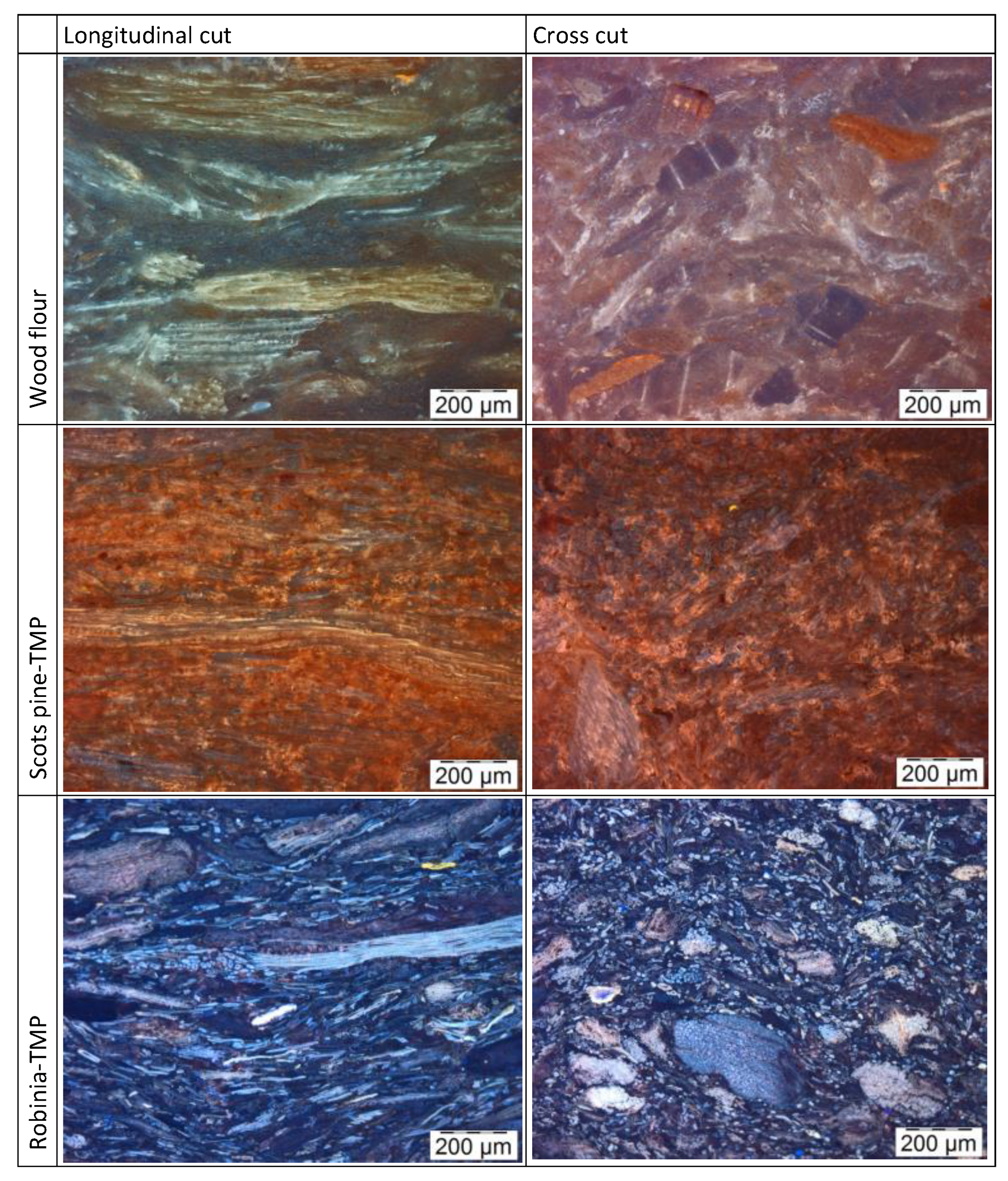 Fibers 09 00017 g014