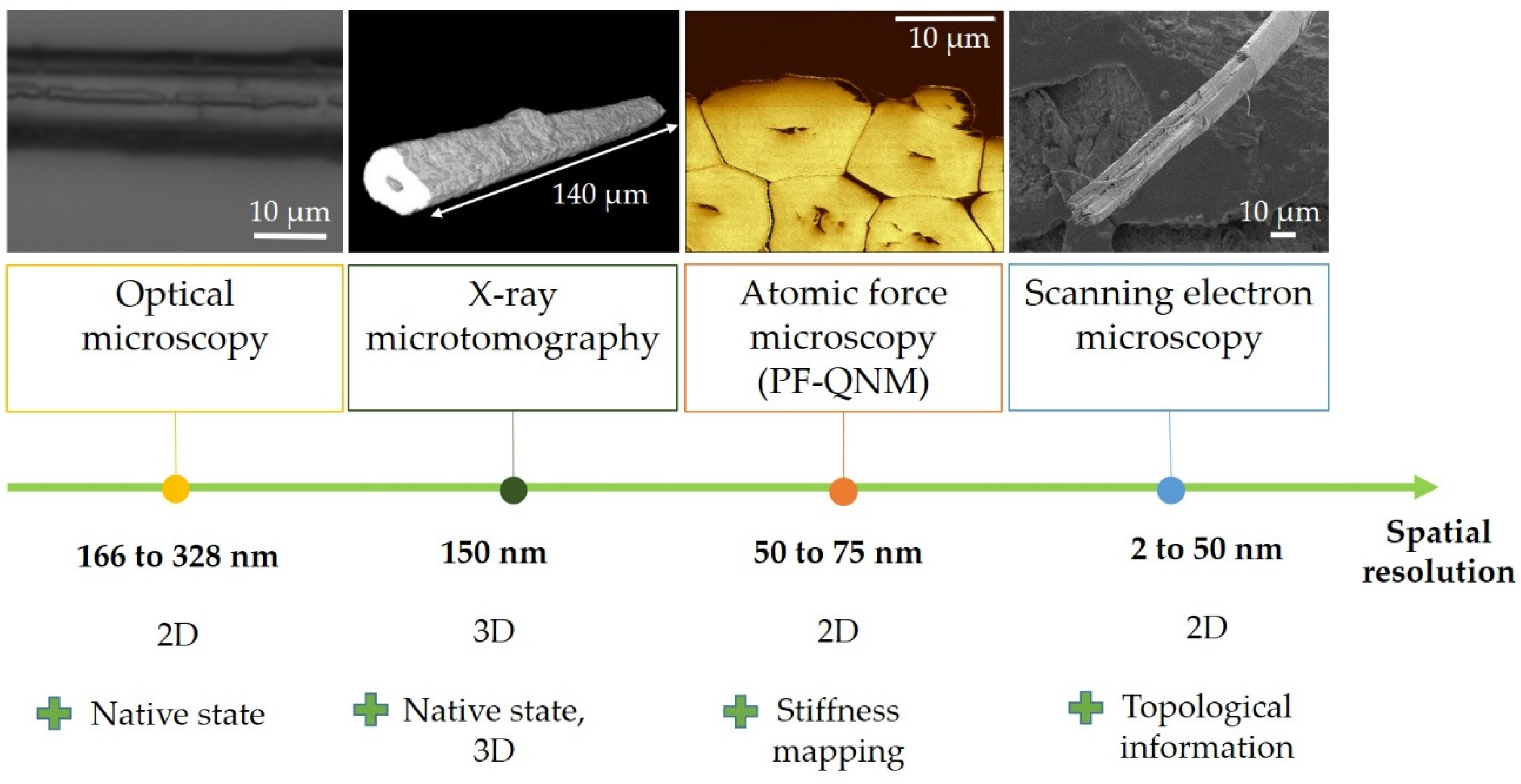 Fibers 09 00024 g002