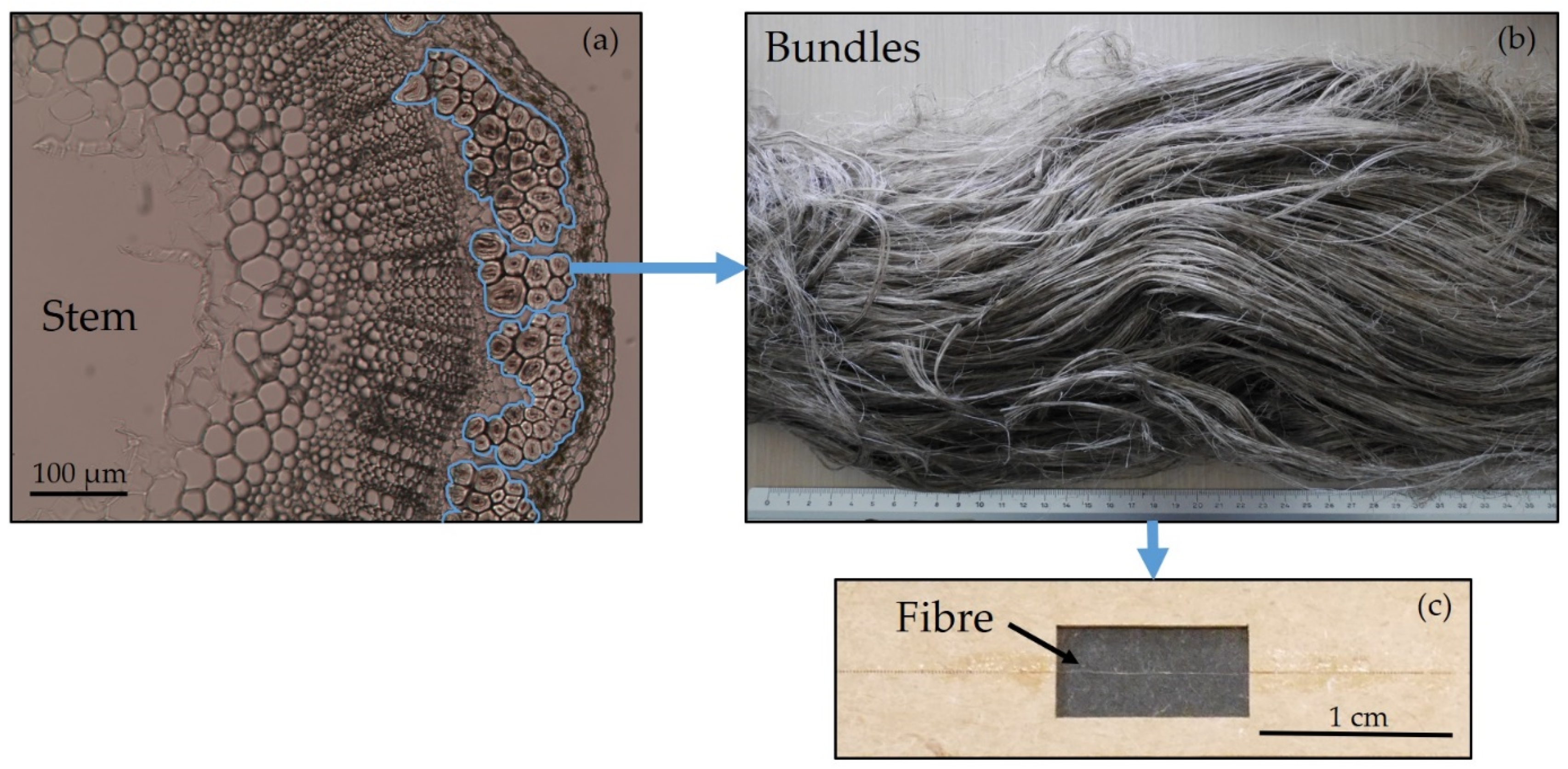 Fibers 09 00024 g003