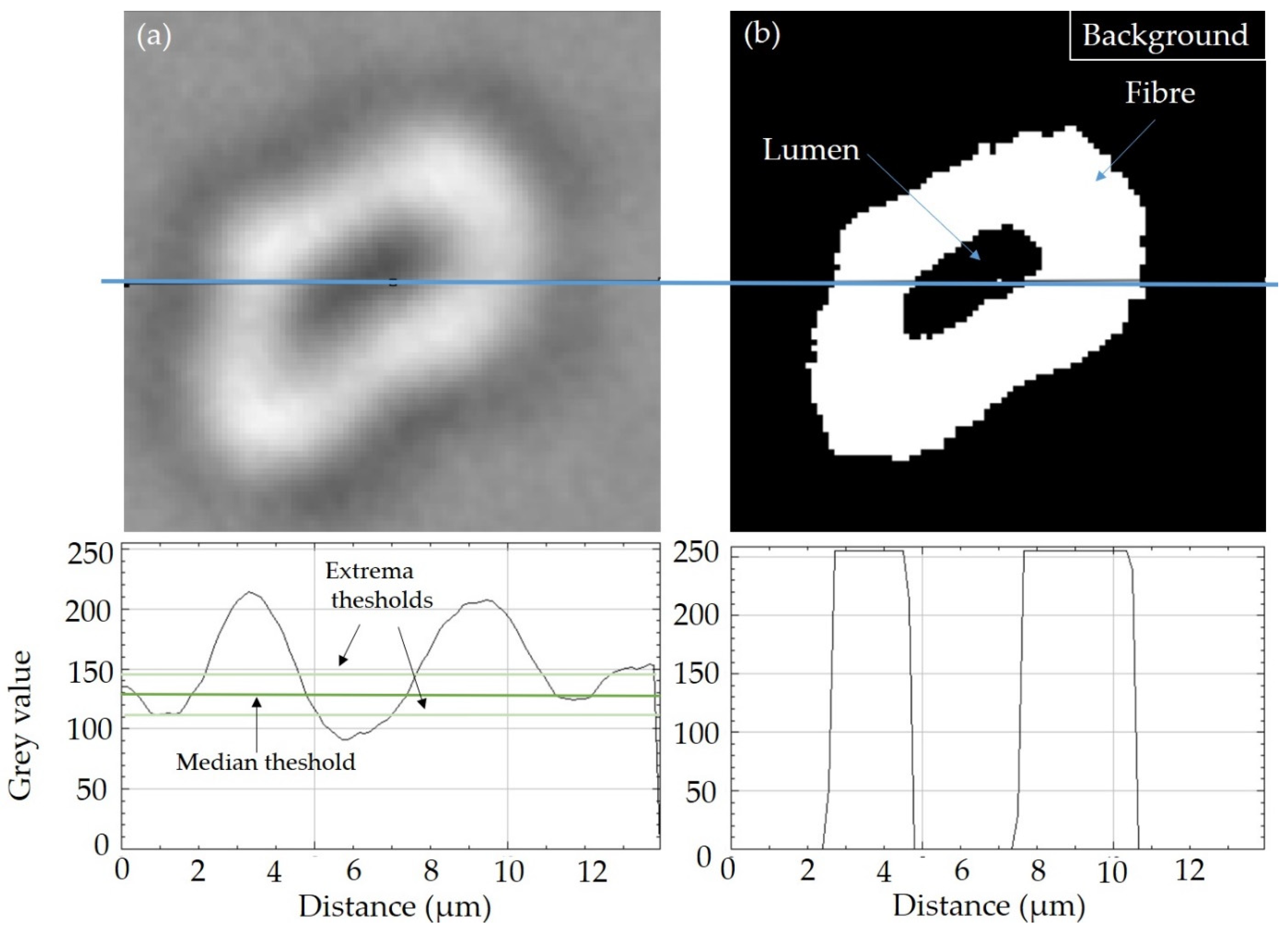 Fibers 09 00024 g004