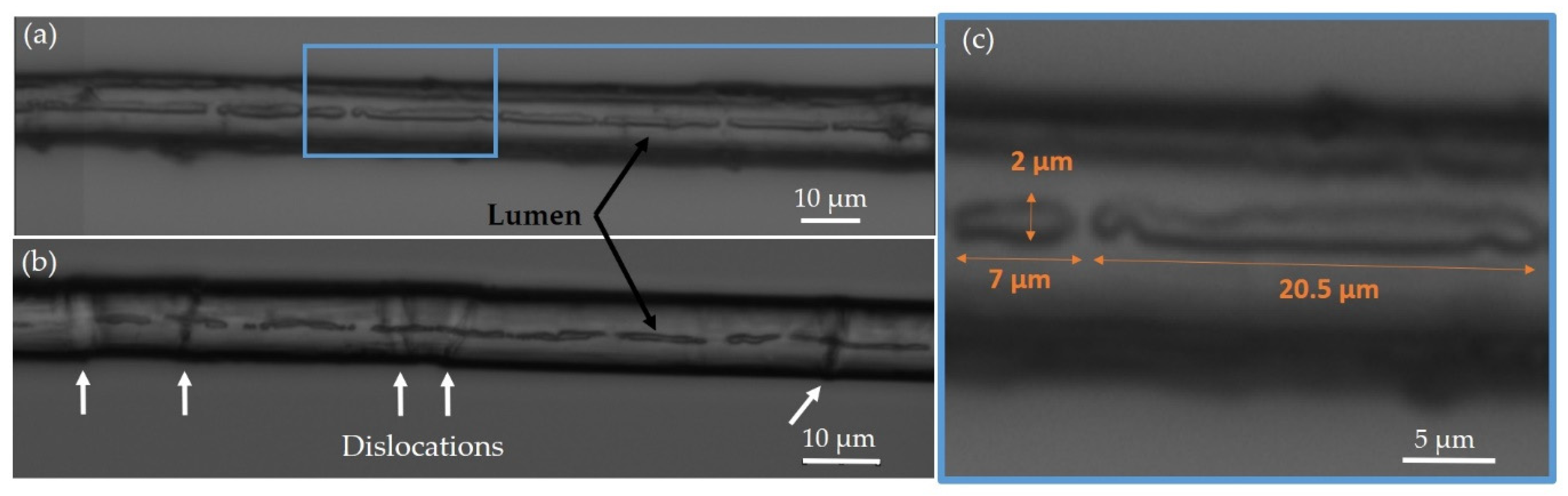 Fibers 09 00024 g007