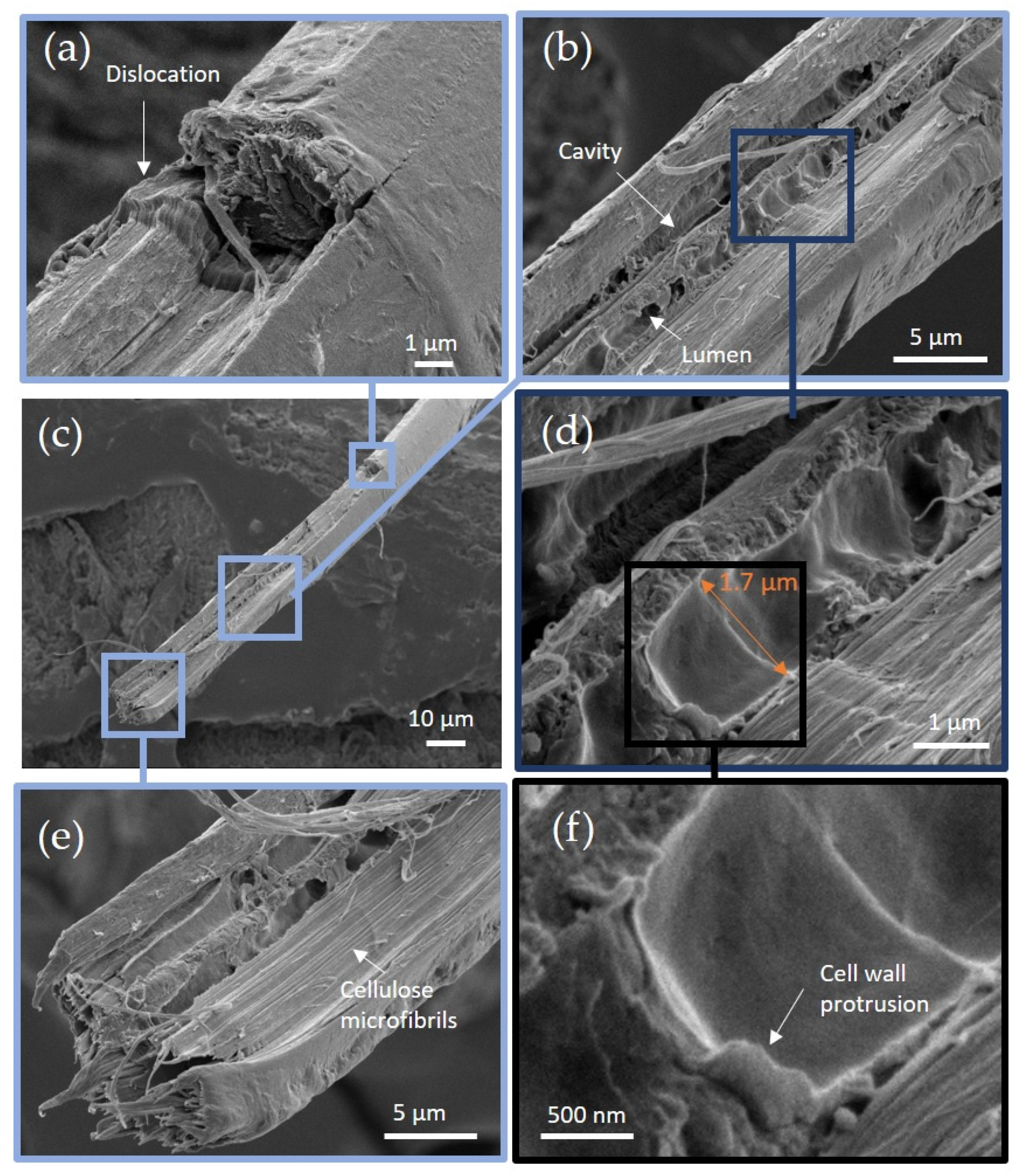 Fibers 09 00024 g012