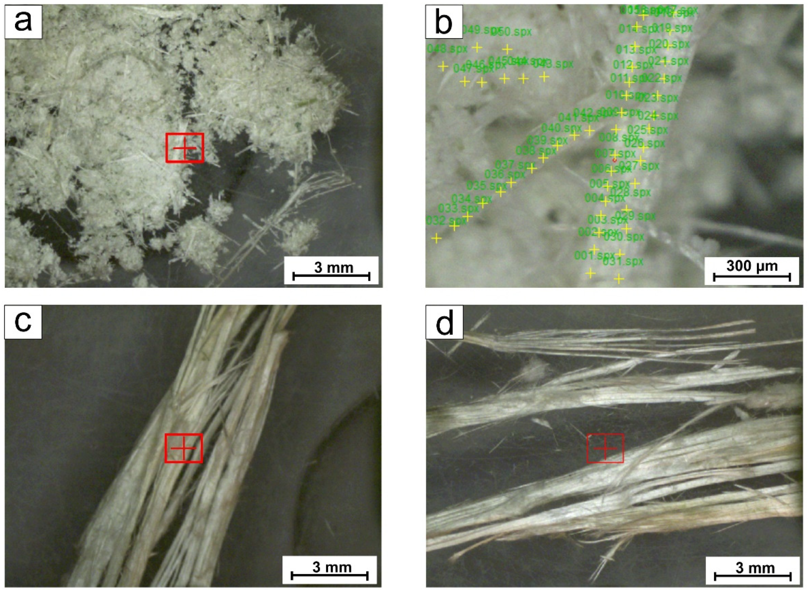 Fibers 09 00047 g001 550
