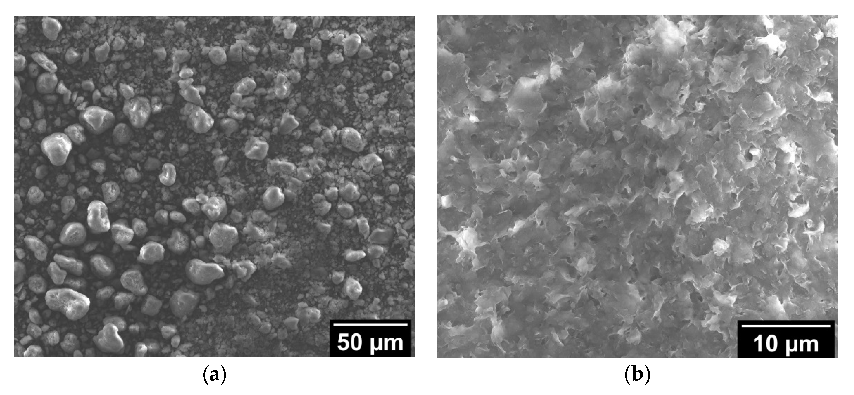 Fibers 09 00048 g001