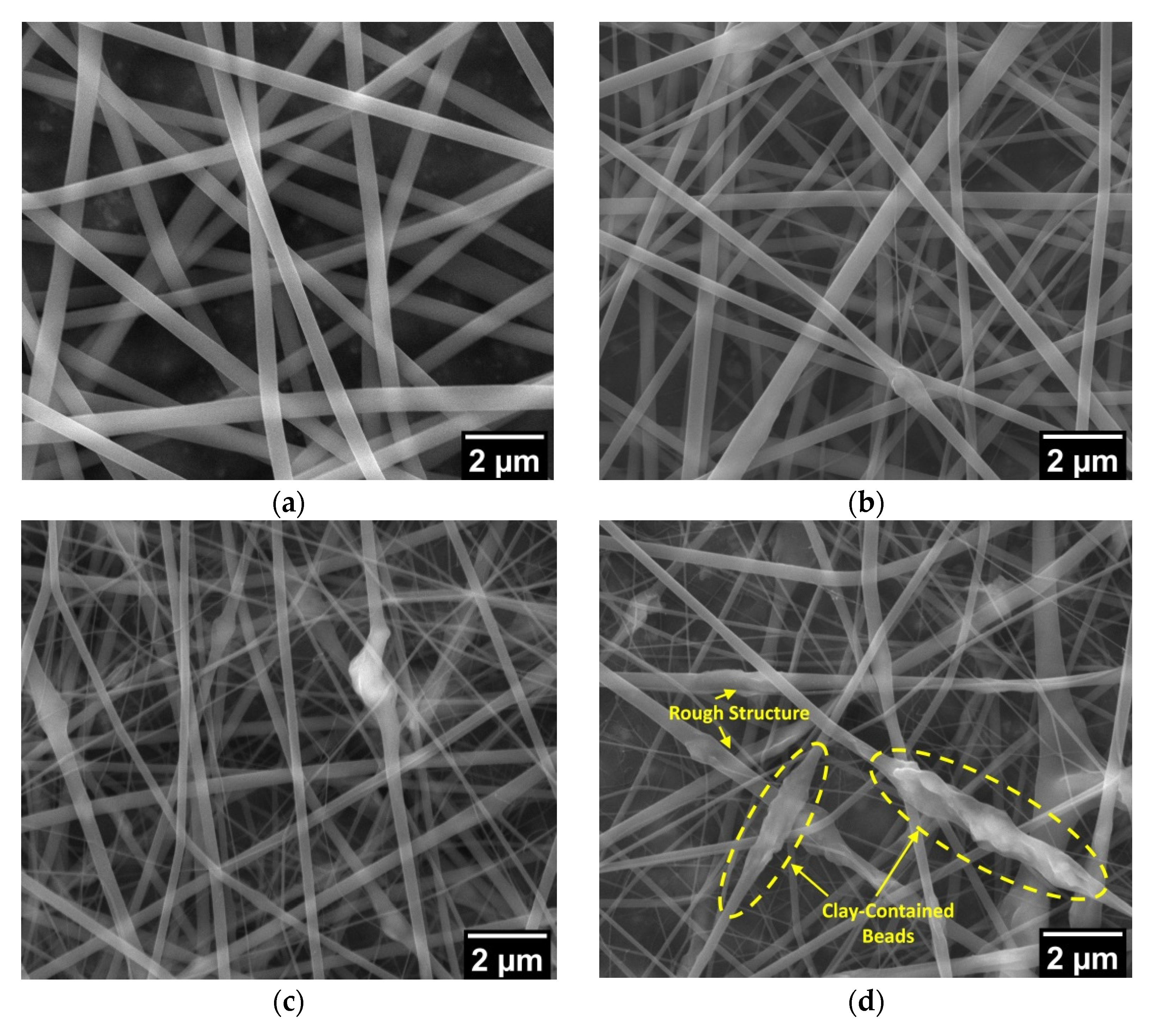 Fibers 09 00048 g002