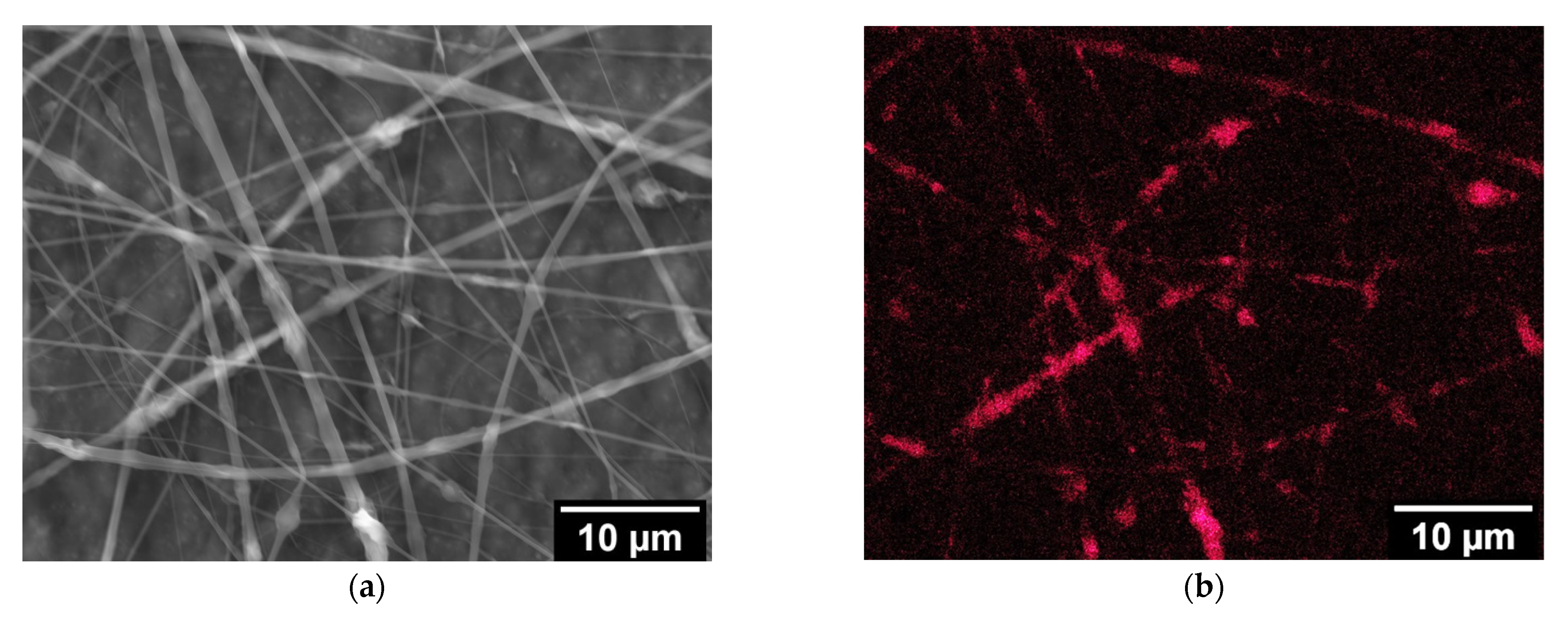 Fibers 09 00048 g003a