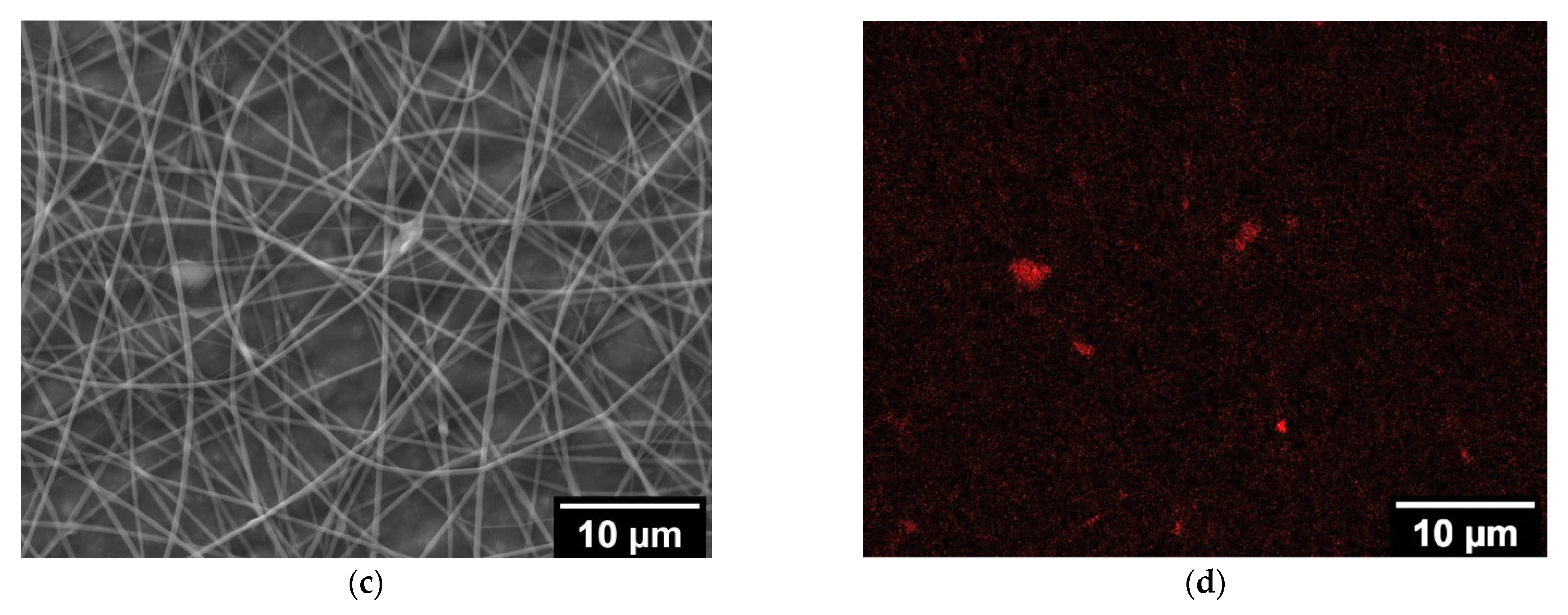 Fibers 09 00048 g003b