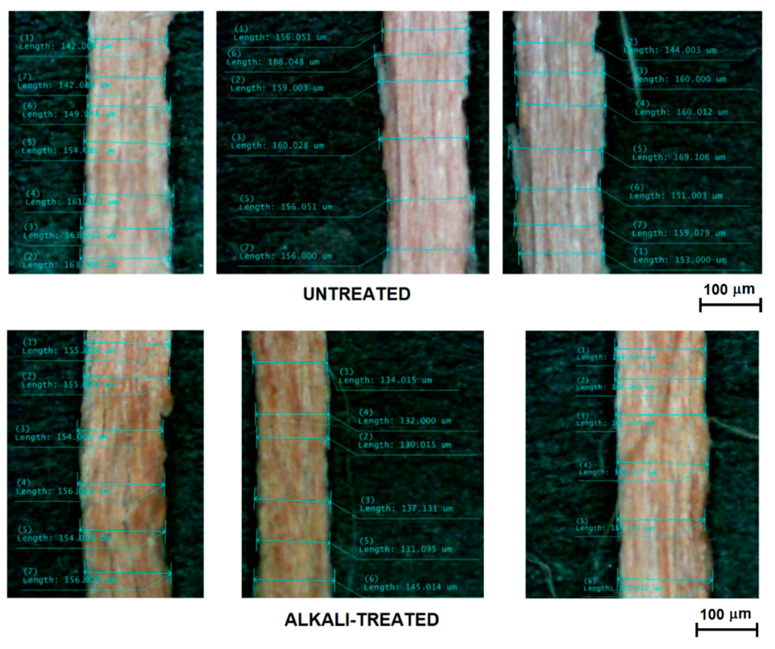 Fibers 09 00049 g004 550