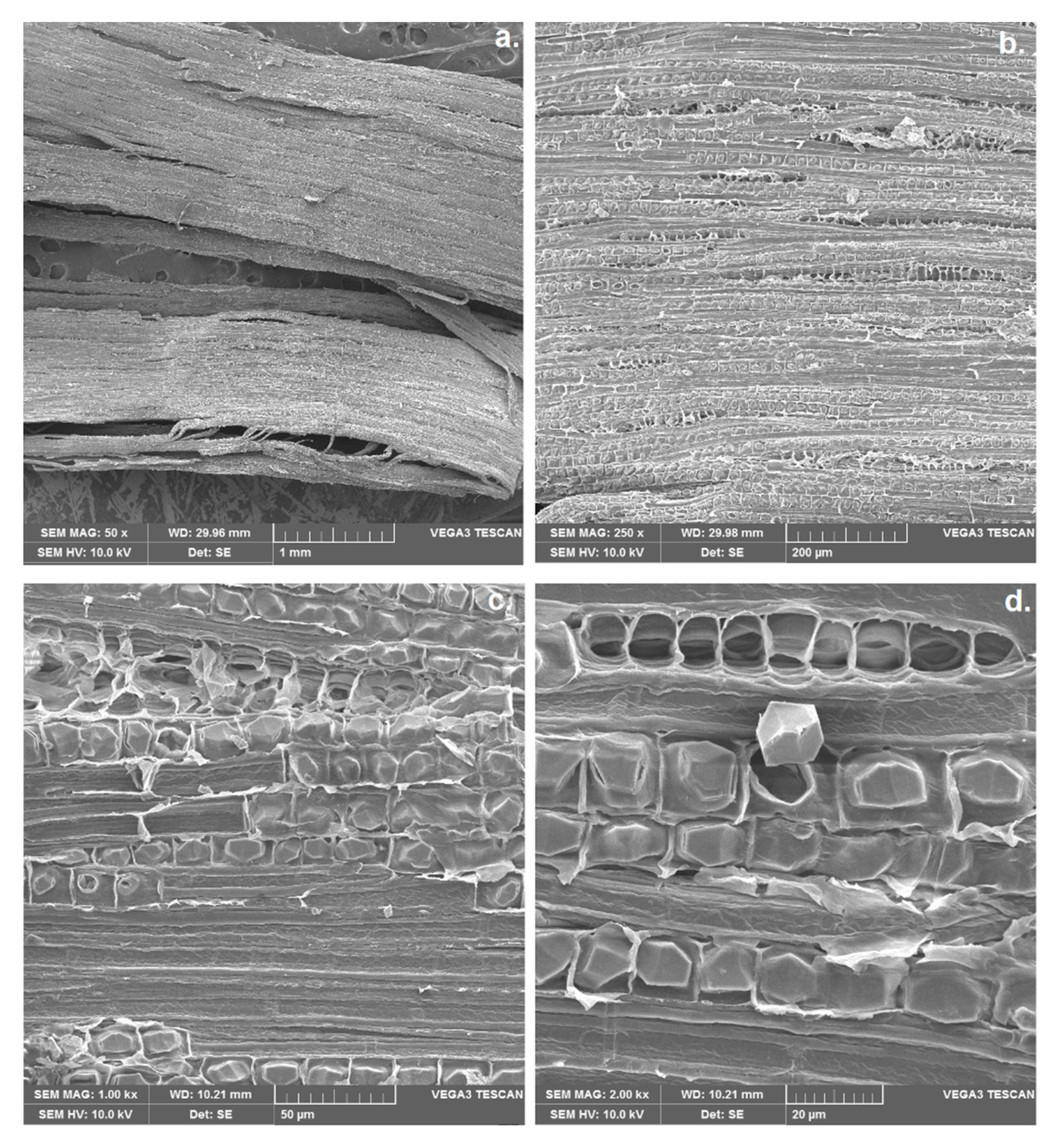 Fibers 09 00049 g006 550
