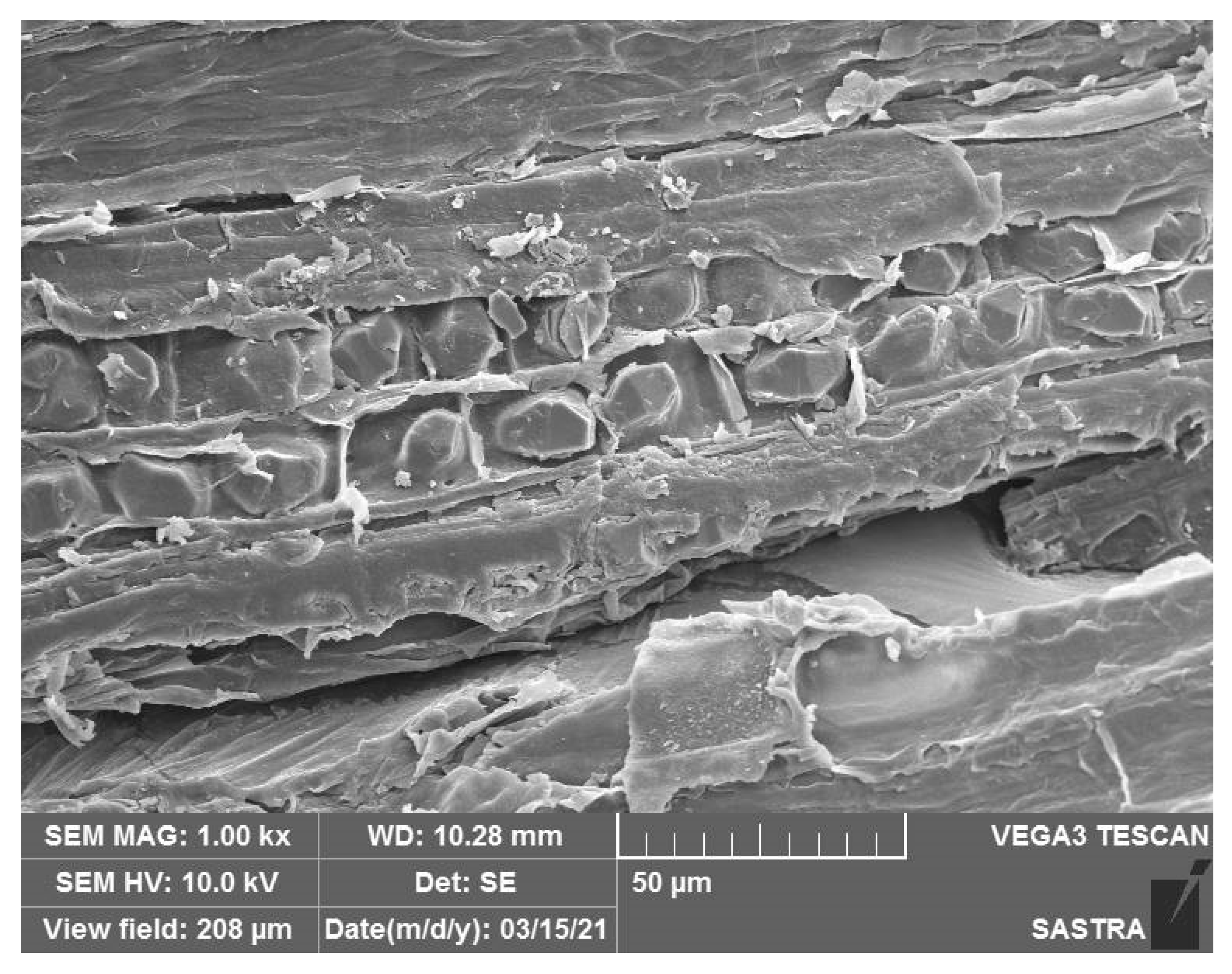 Fibers 09 00049 g007 550