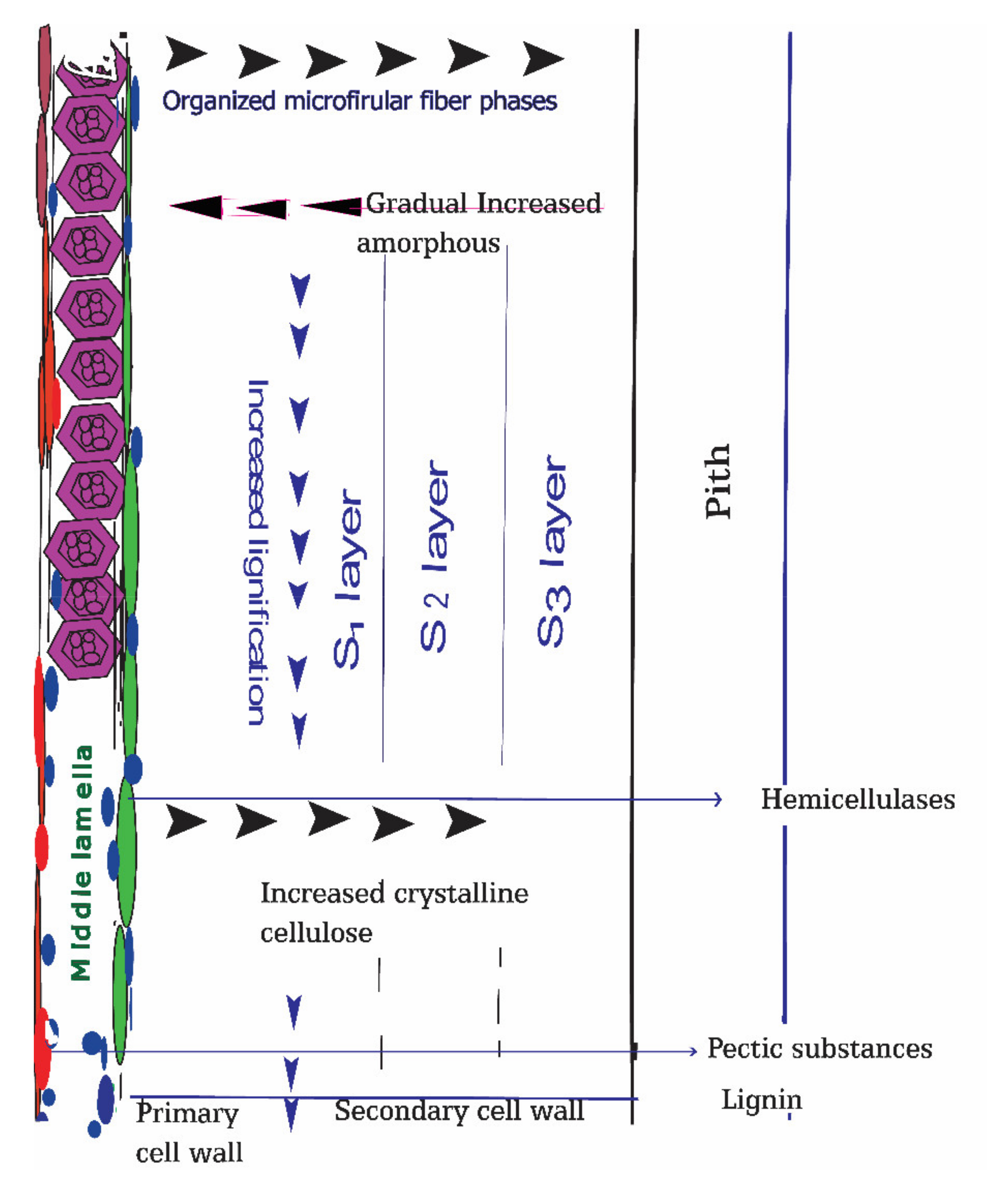 Fibers 09 00052 g002 Fibers 09 00052 g002