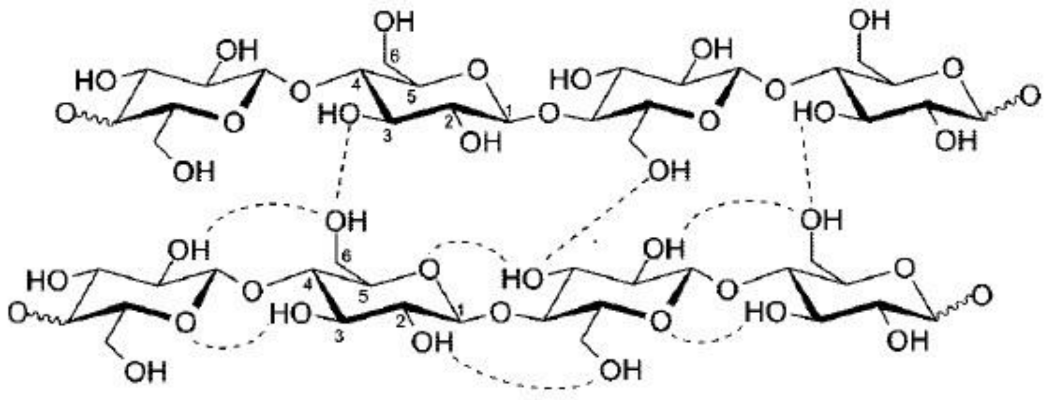 Fibers 09 00054 g002 550