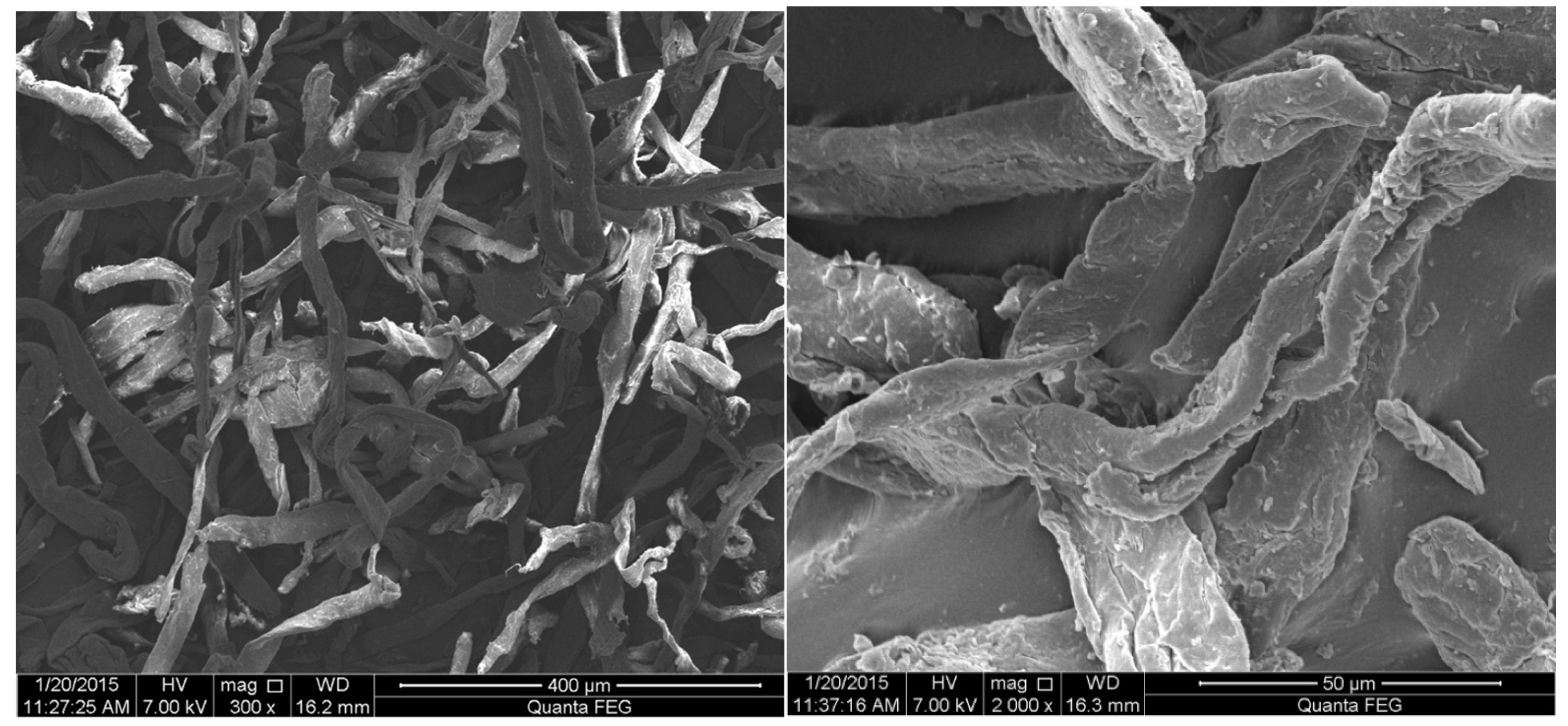 Fibers 09 00057 g003