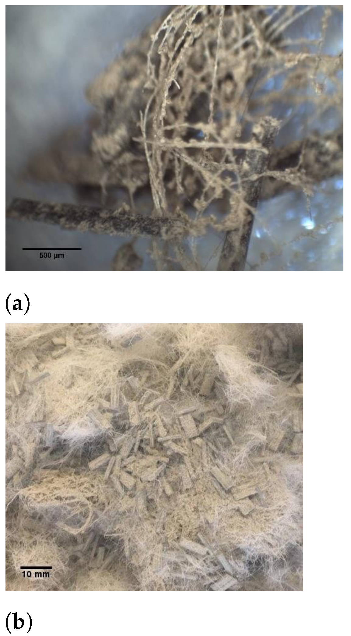 Fibers 09 00065 g004