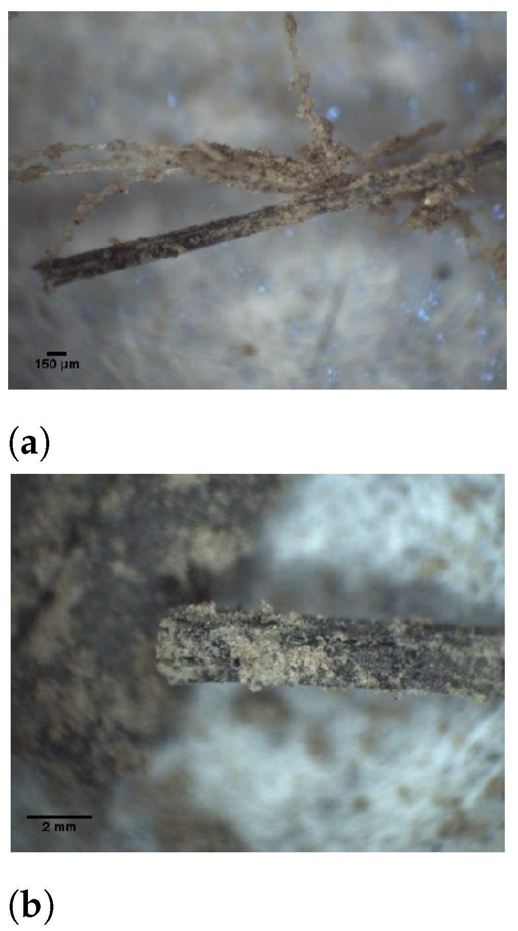 Fibers 09 00065 g006