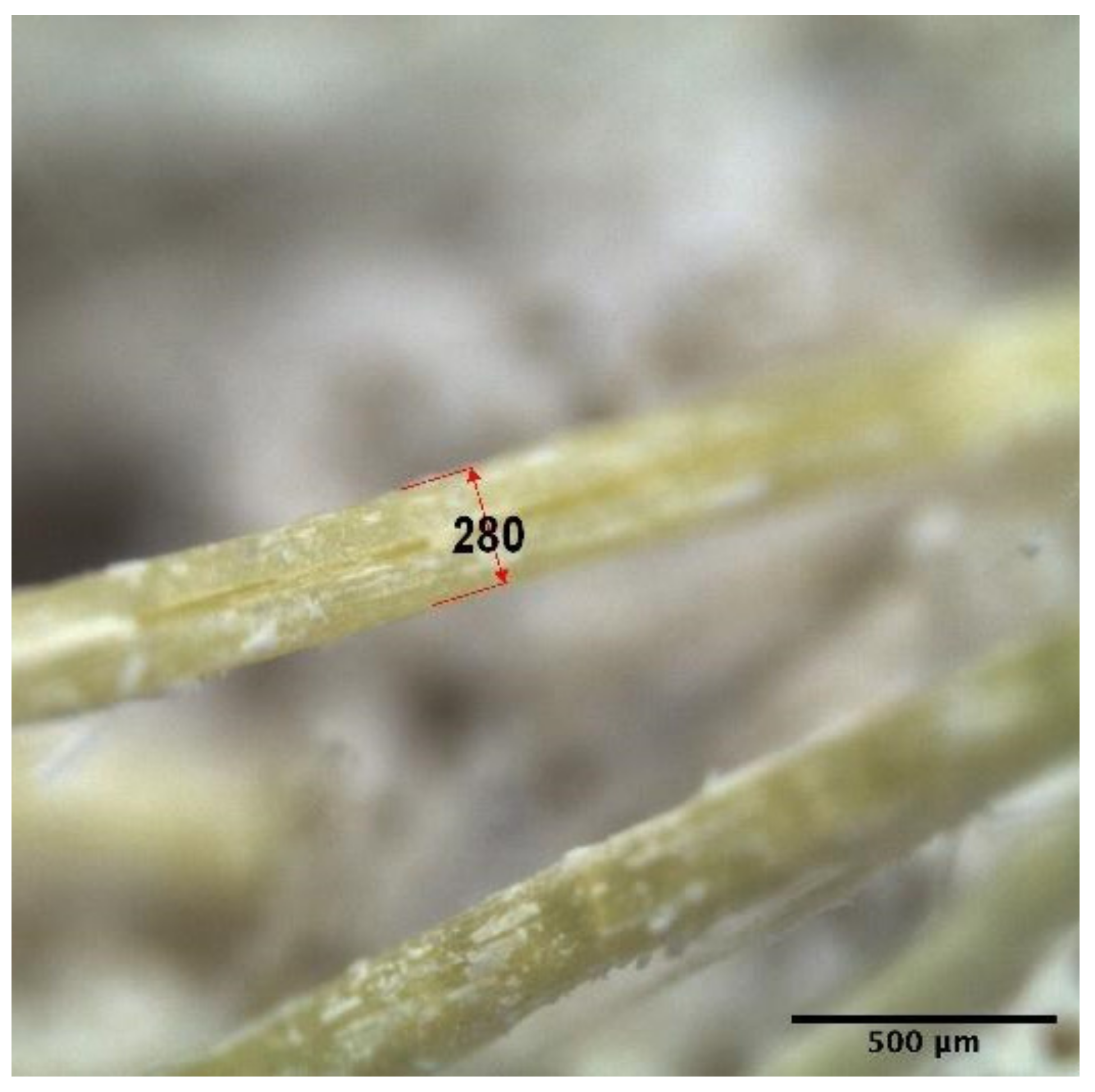 Fibers 09 00068 g002 550