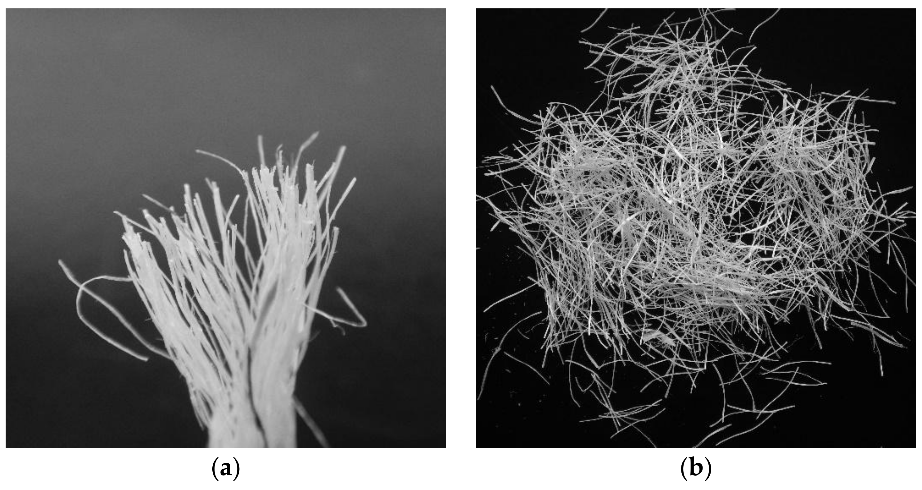 Fibers 09 00068 g003 550